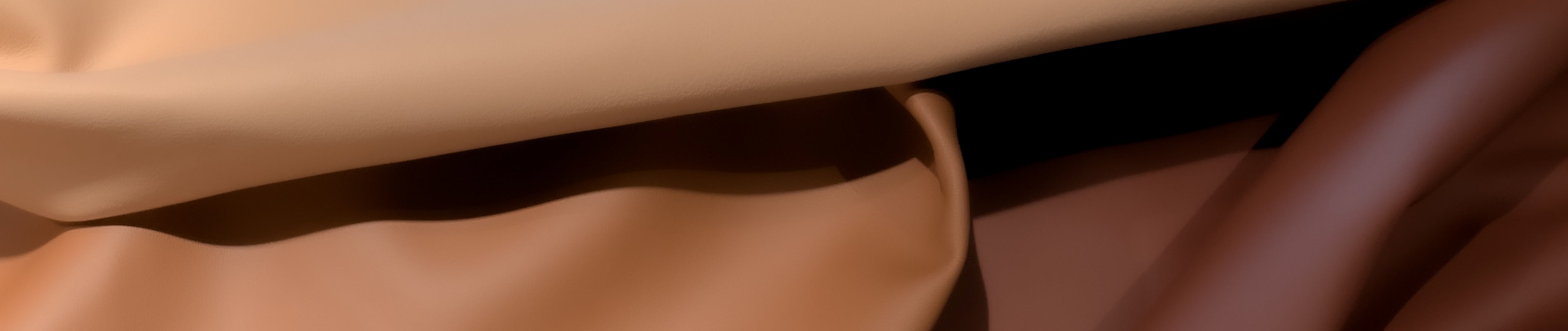 Banner Vera pelle art. Elegance