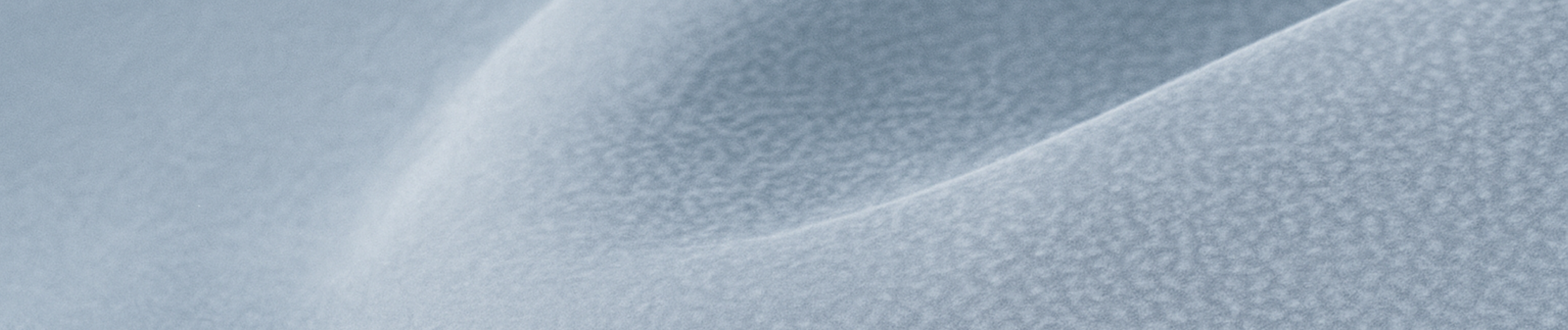 Banner Vera pelle art. Brina