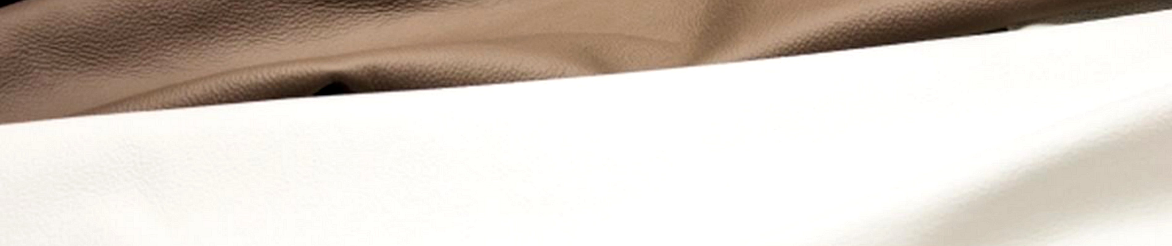 Banner Vera pelle art. Uruguay