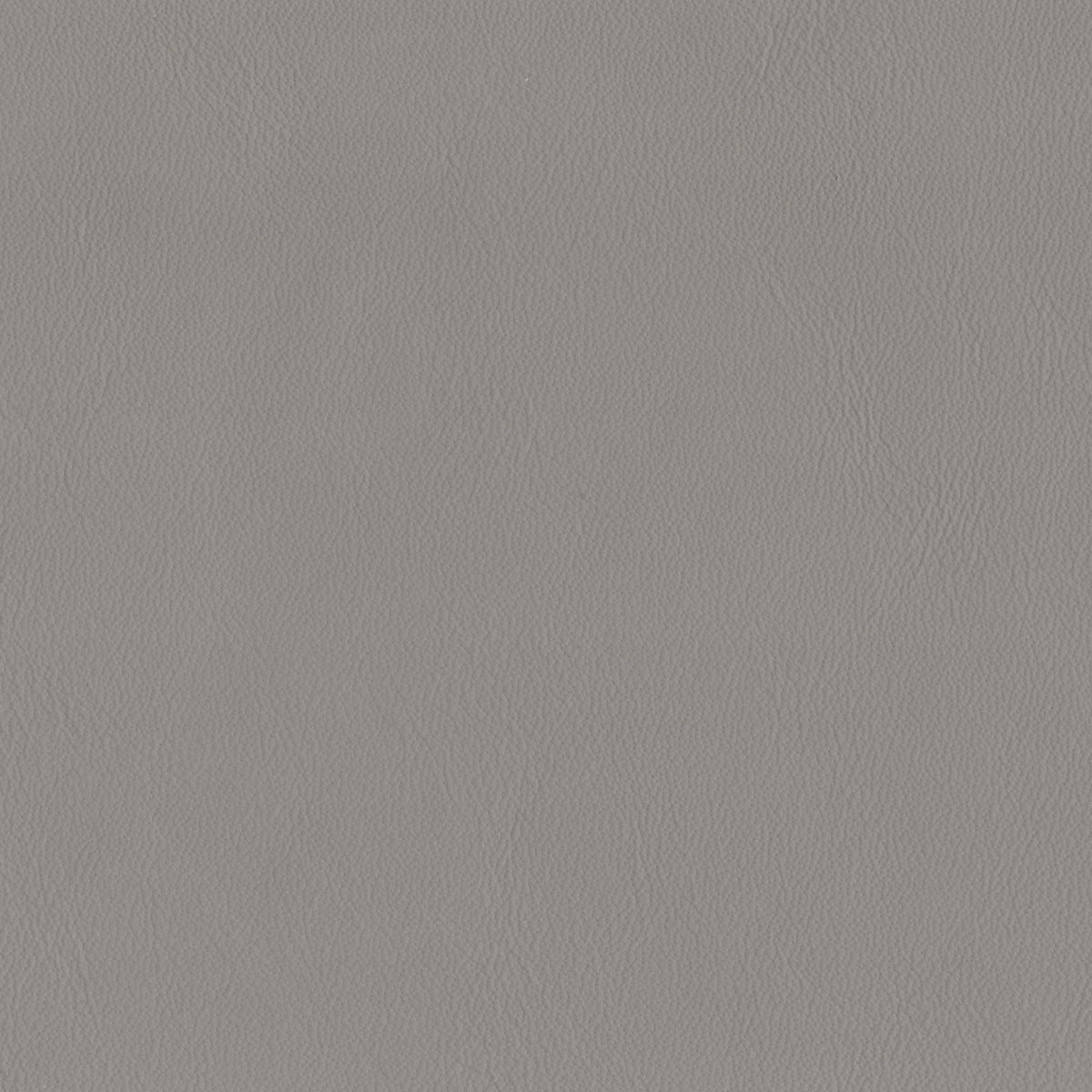 Pelle Elegance Light Grey 2010 – vera pelle liscia effetto cuoietto, campione steso
