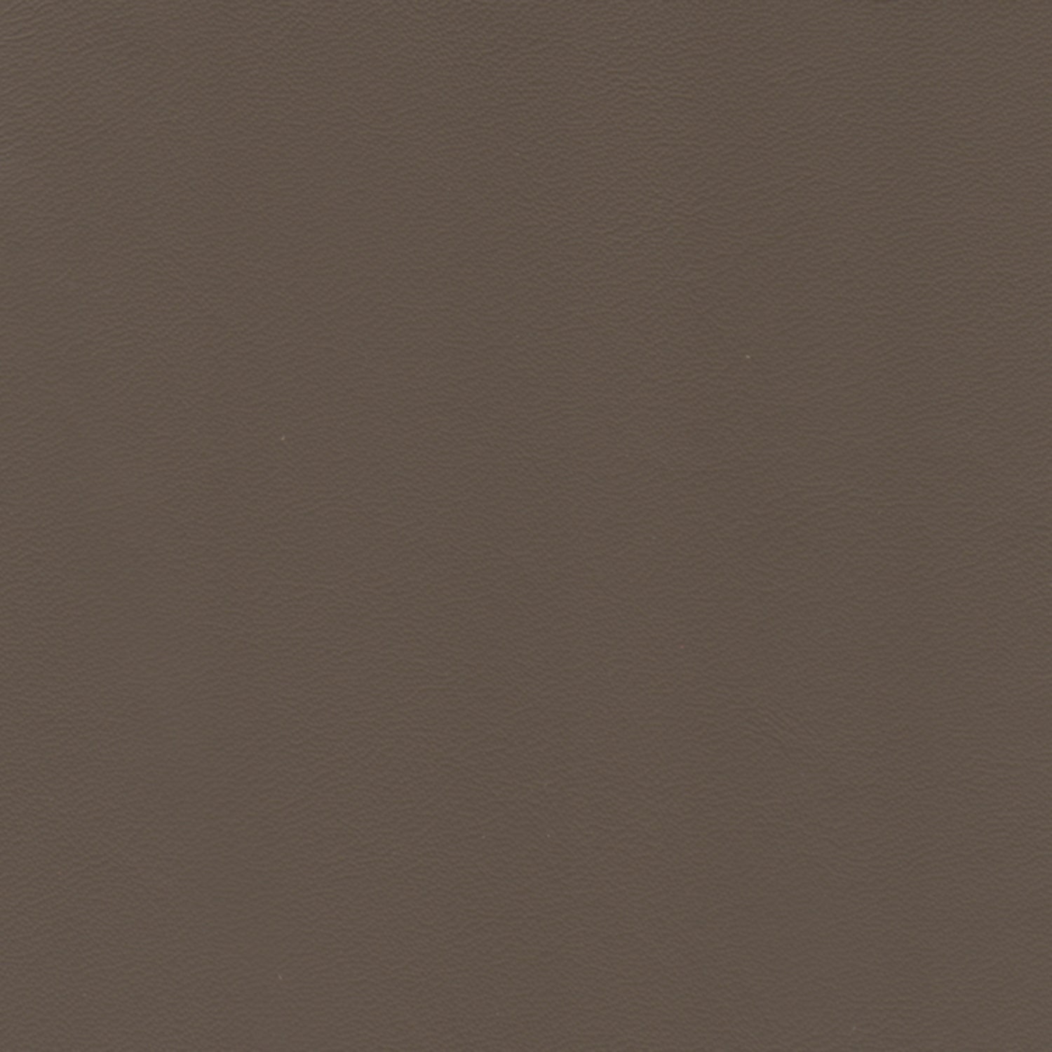 PELLE ELEGANCE Coffee 2031