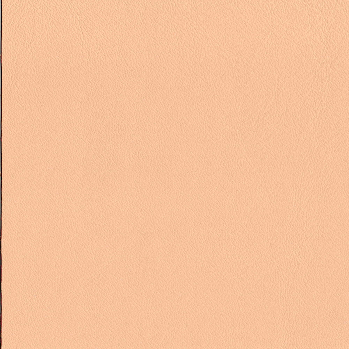 Pelle Elegance Nude 2033 – vera pelle liscia effetto cuoietto, campione steso