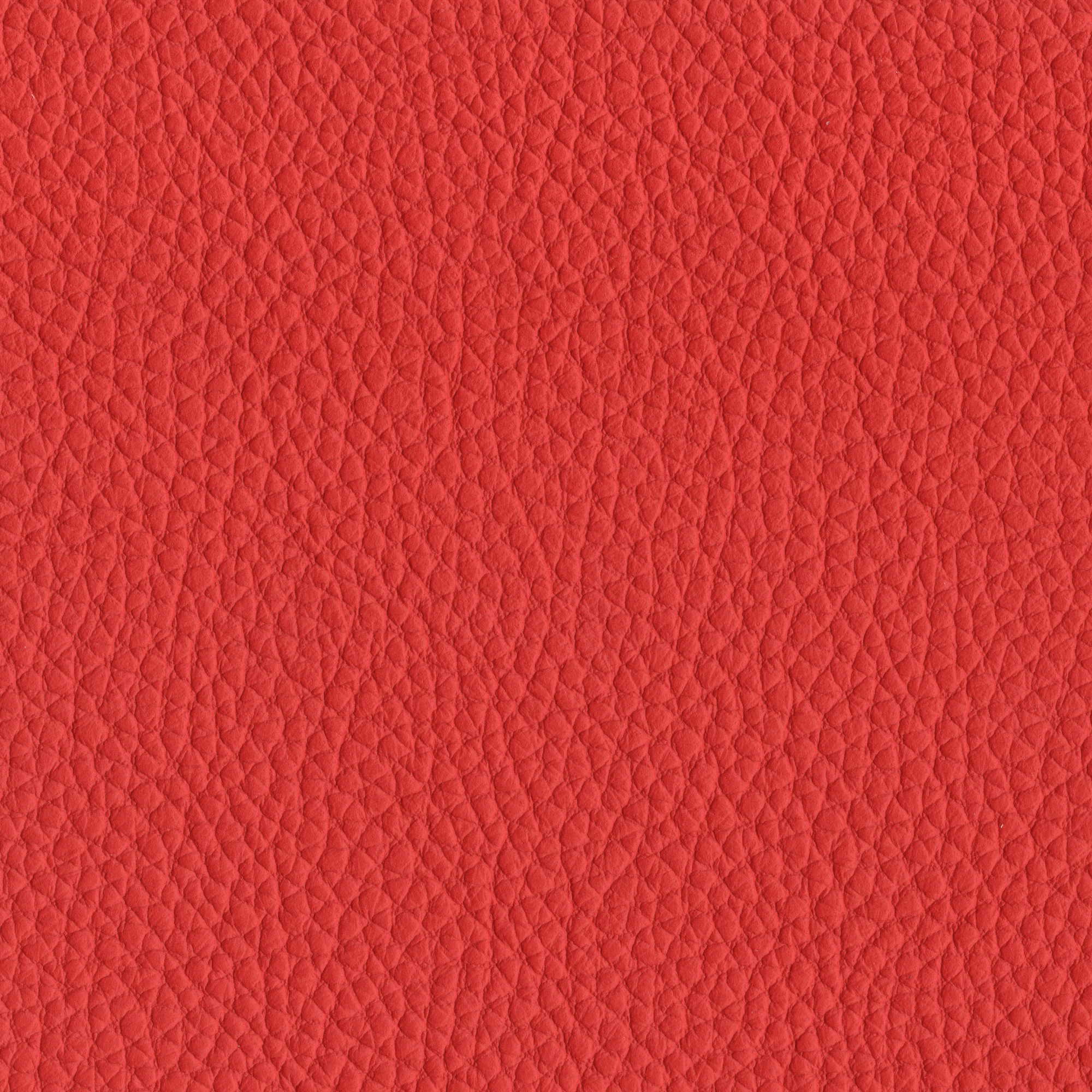 Pelle Spessorato Rosso 3004 – vera pelle martellata stampa dollaro, campione steso