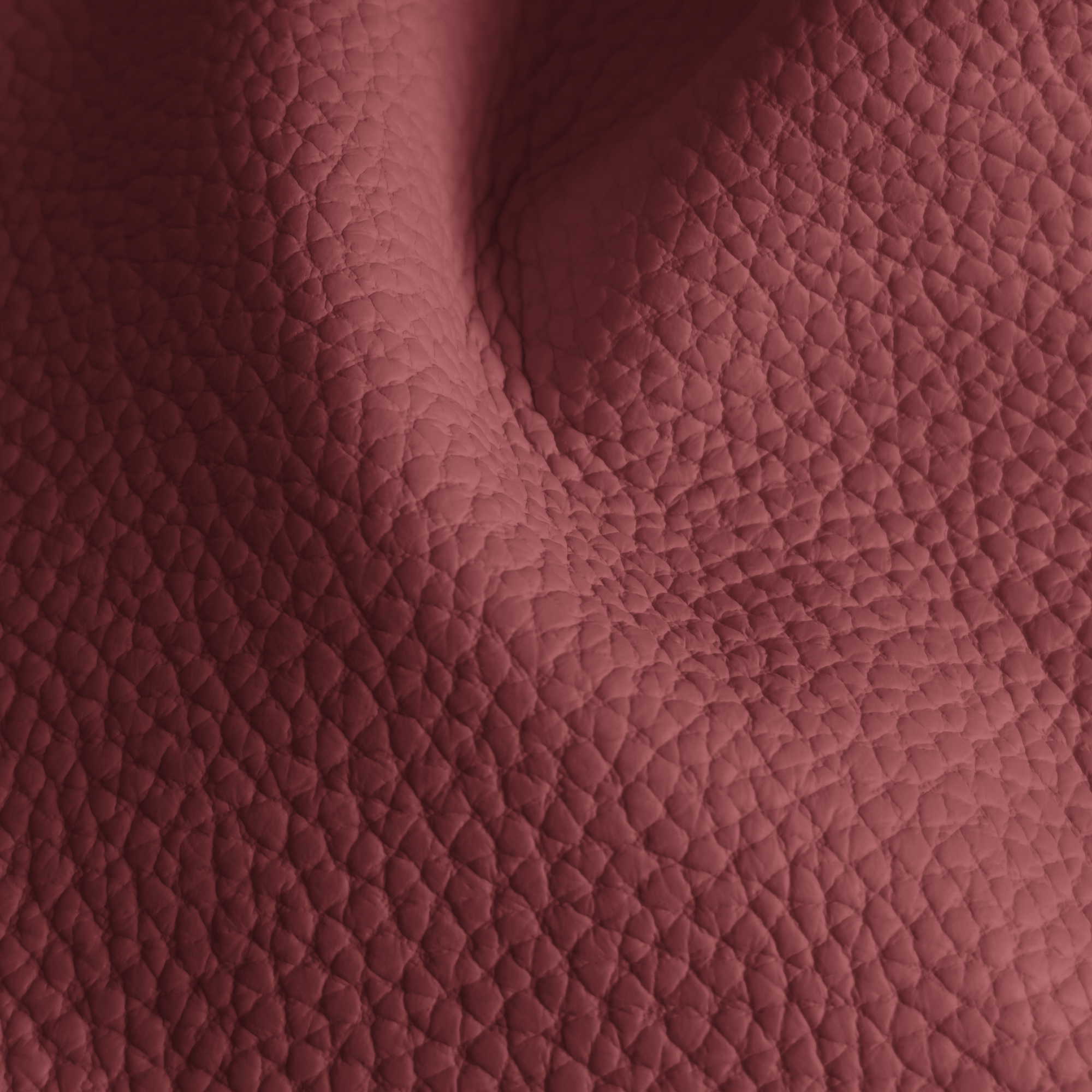 Pelle Spessorato Bordeaux 3005 – vera pelle martellata stampa dollaro in drappeggio