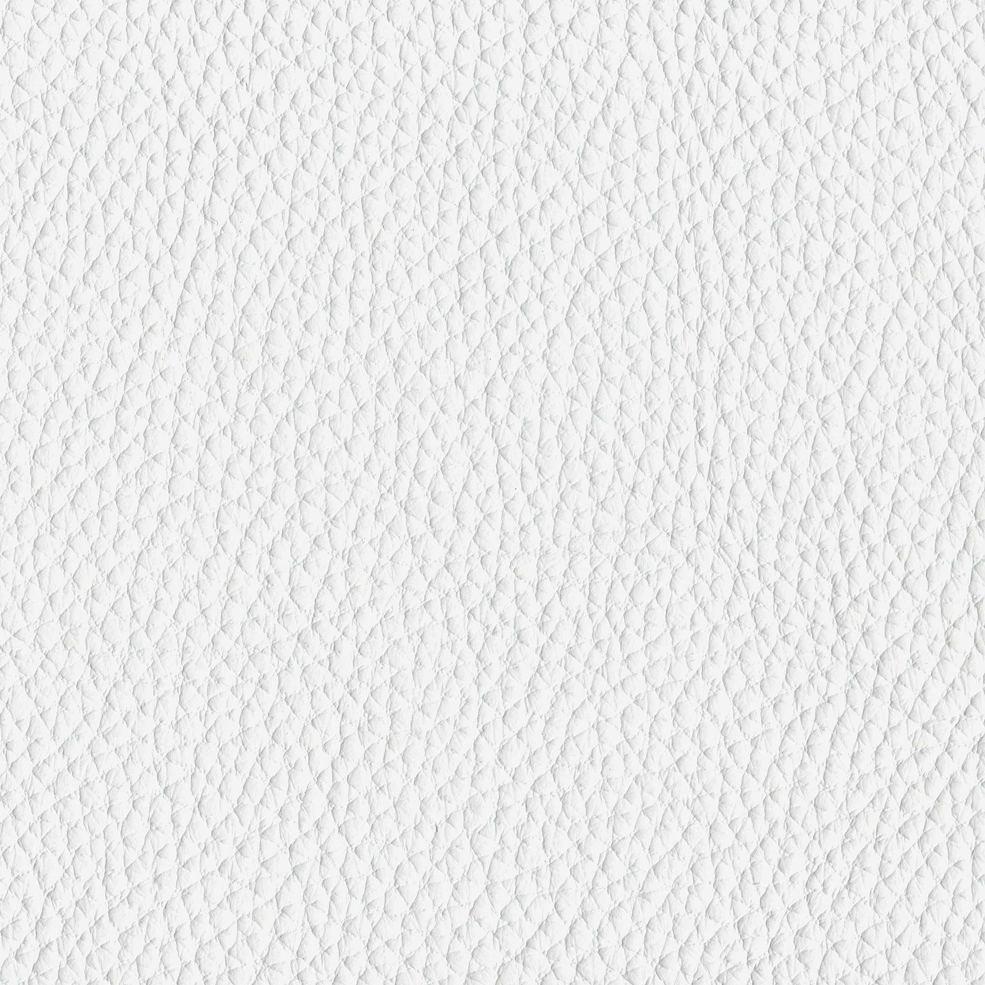 Pelle Spessorato Bianco 3009 – vera pelle martellata stampa dollaro, campione steso