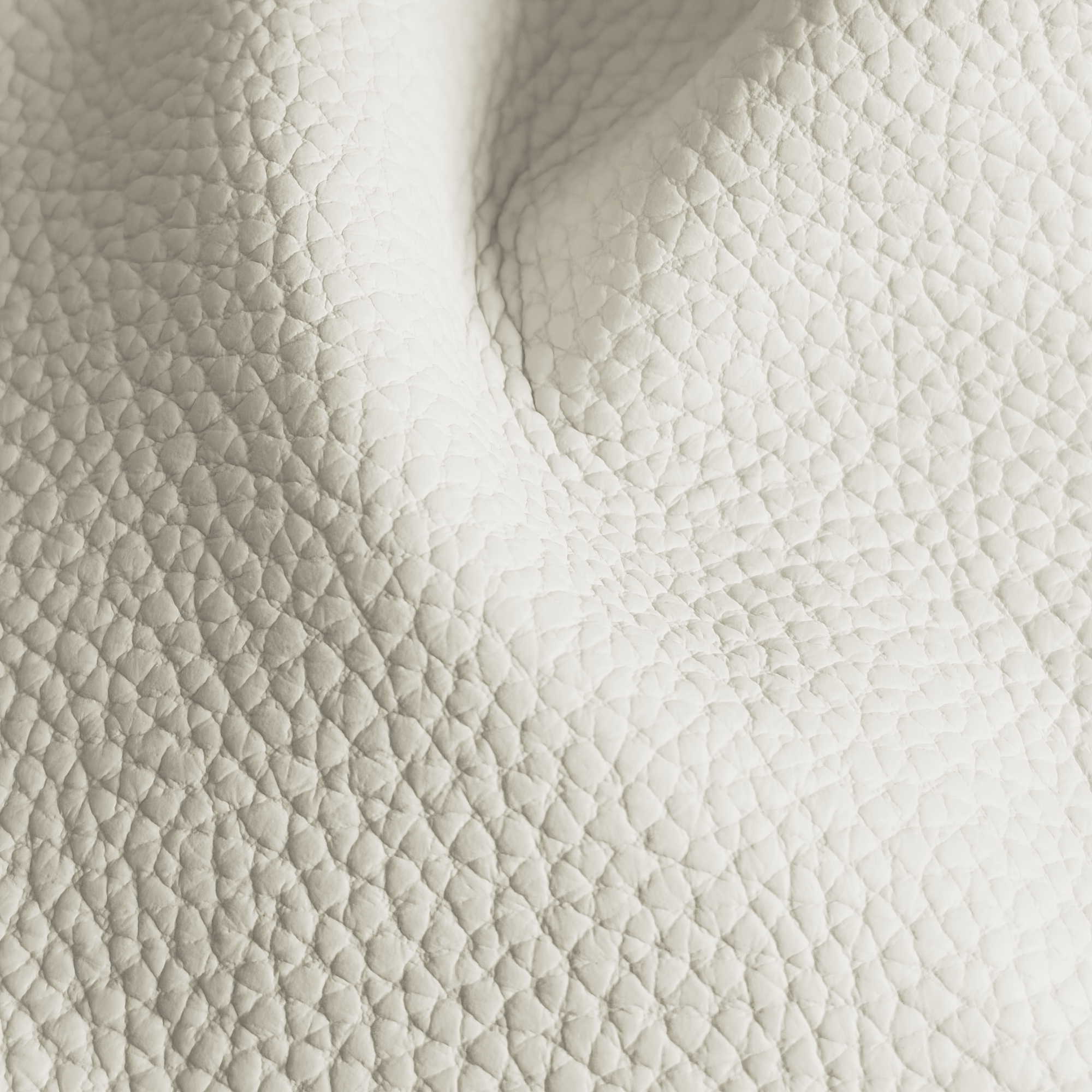 Pelle Spessorato Ivory 3010 – vera pelle martellata stampa dollaro in drappeggio