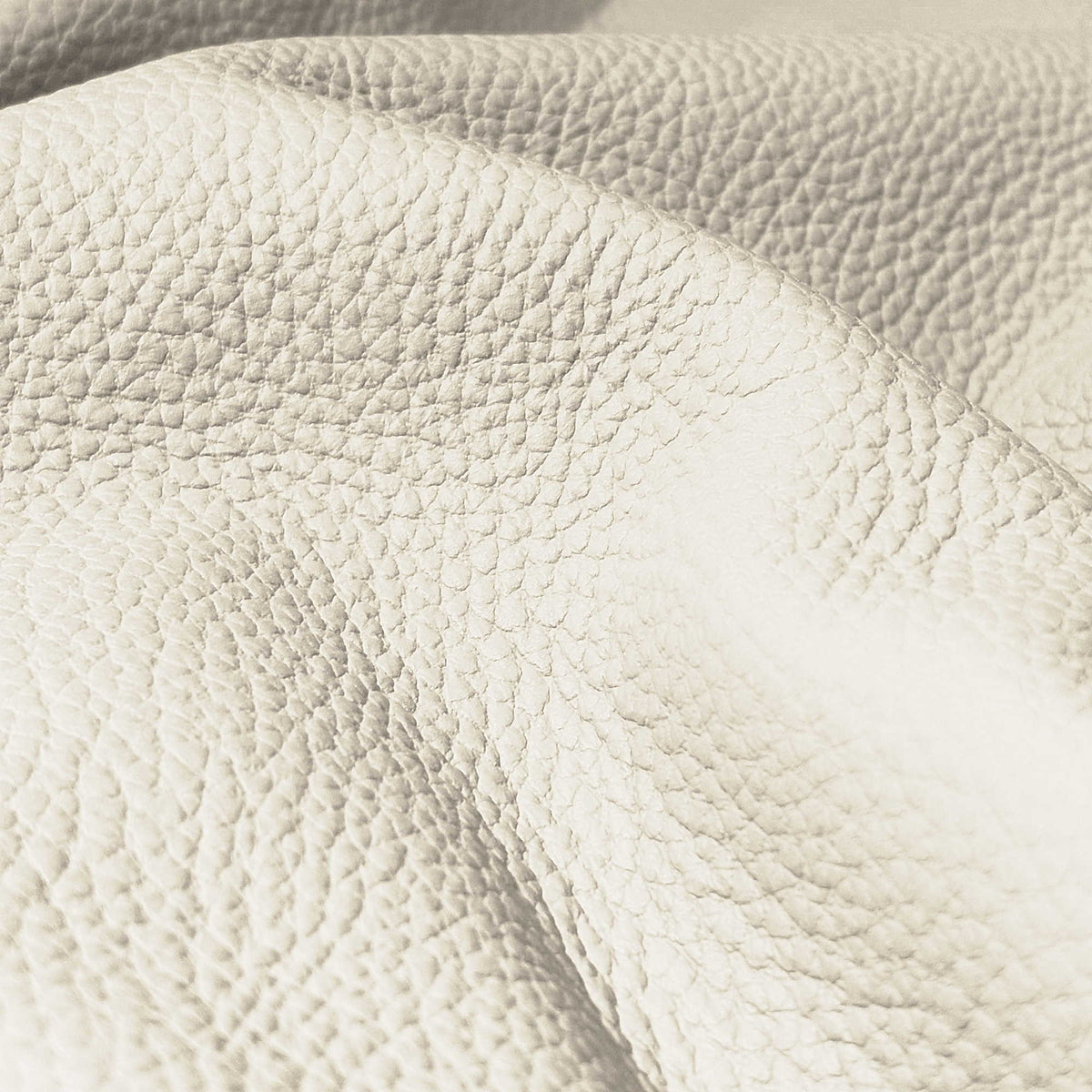 Pelle Spessorato Ivory 3010 – vera pelle martellata stampa dollaro in drappeggio