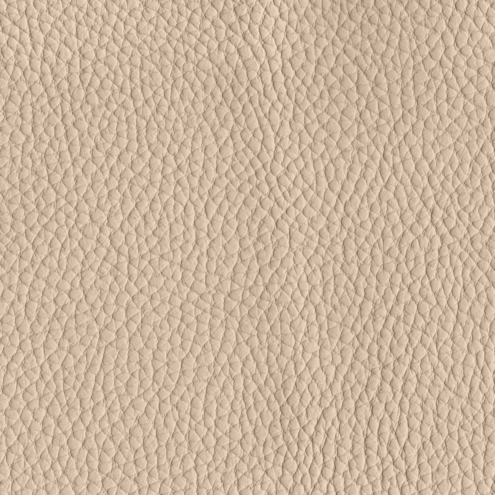 Pelle Spessorato Cappuccino 3013 – vera pelle martellata stampa dollaro, campione steso