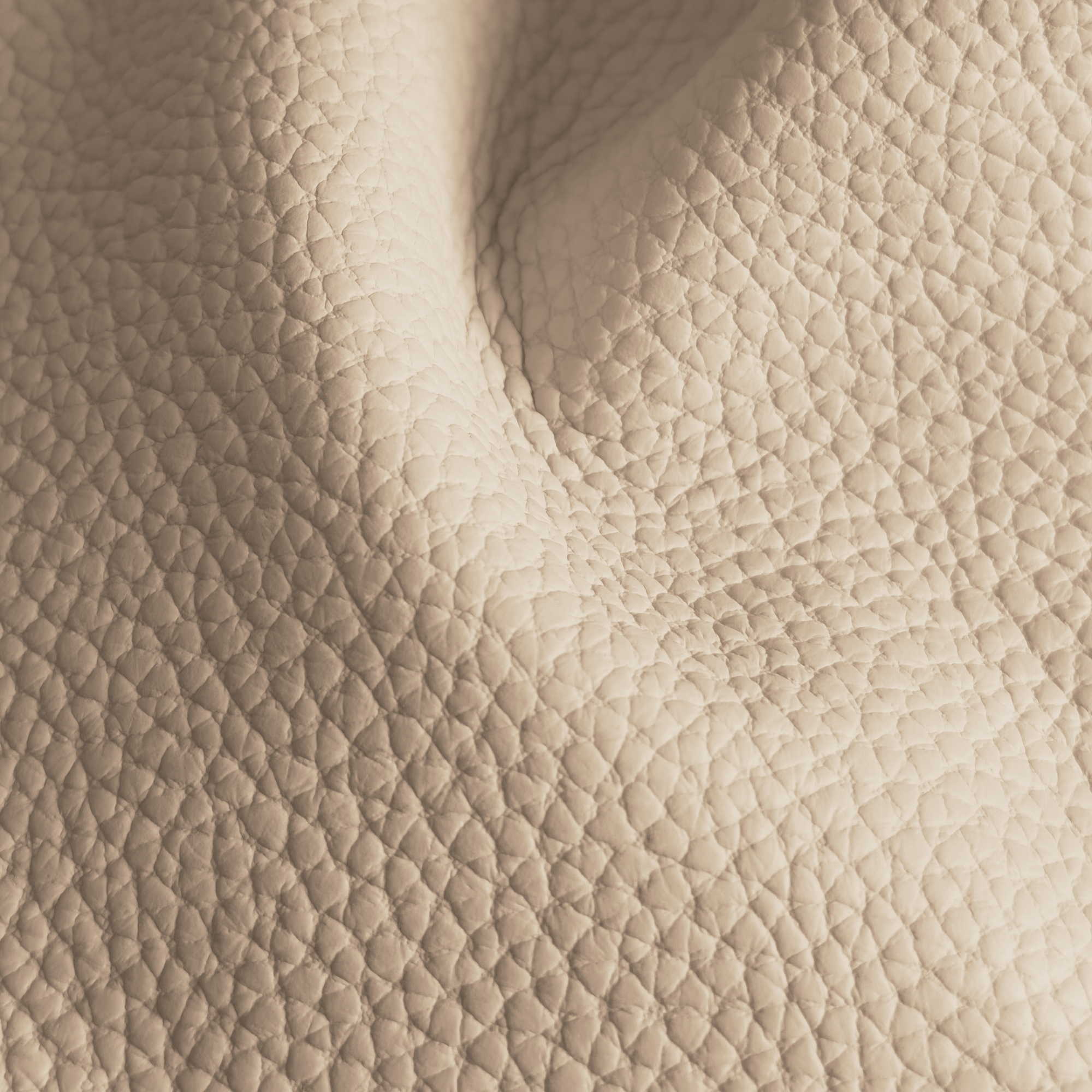Pelle Spessorato Cappuccino 3013 – vera pelle martellata stampa dollaro in drappeggio
