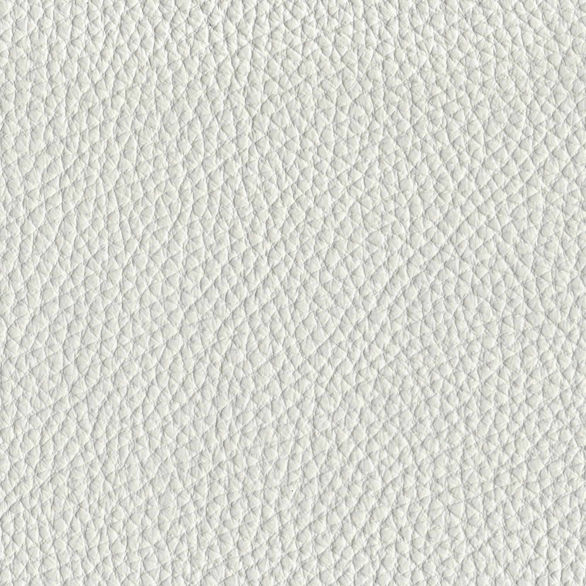 Pelle Spessorato Milk 3024 – vera pelle martellata stampa dollaro, campione steso