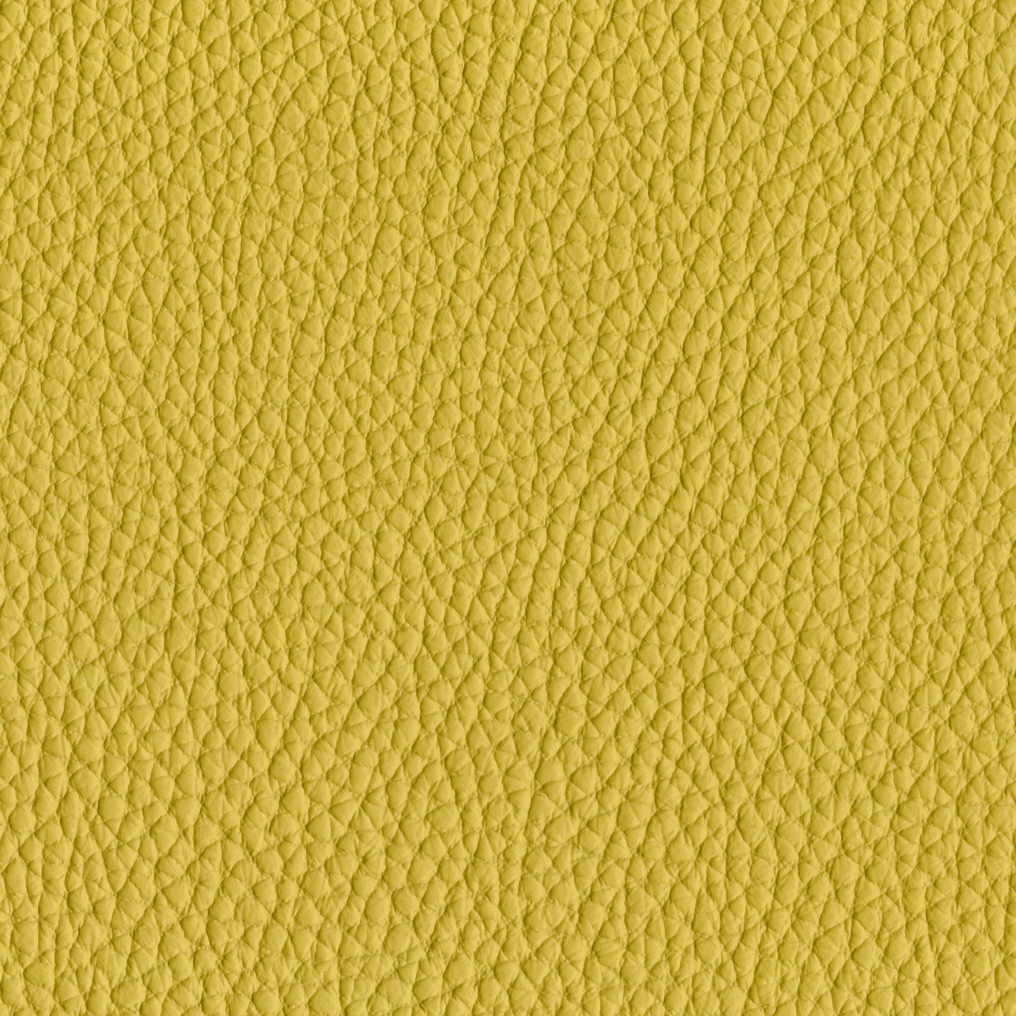 Pelle Spessorato Lemon 3025 – vera pelle martellata stampa dollaro, campione steso