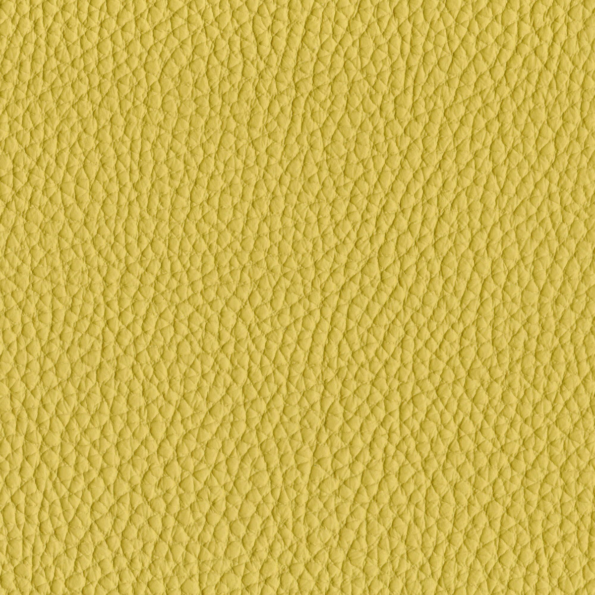 Pelle Spessorato Lemon 3025 – vera pelle martellata stampa dollaro, campione steso