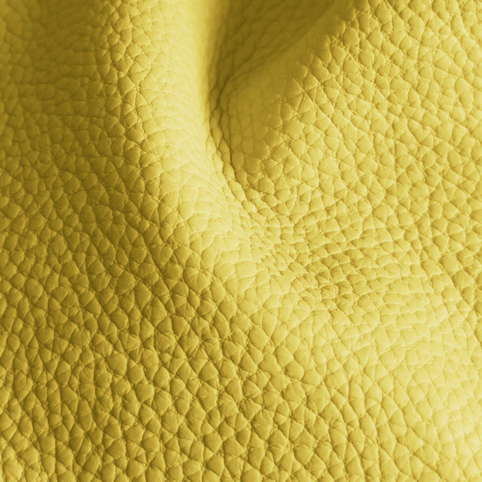 Pelle Spessorato Lemon 3025 – vera pelle martellata stampa dollaro in drappeggio