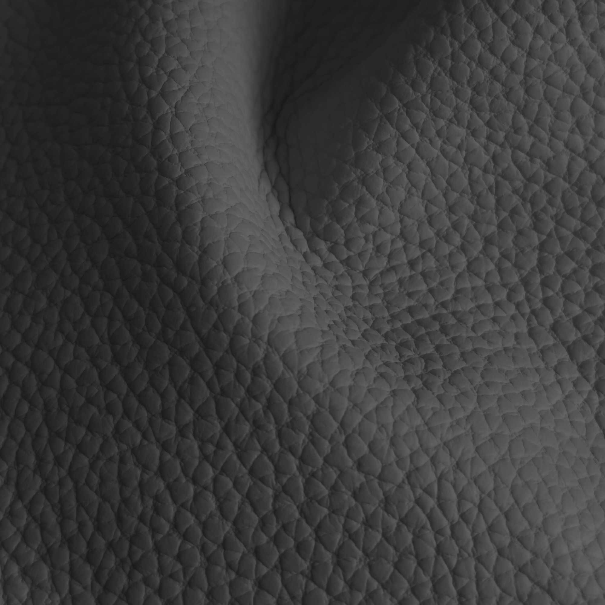 Pelle Spessorato Carbon 3029 – vera pelle martellata stampa dollaro in drappeggio