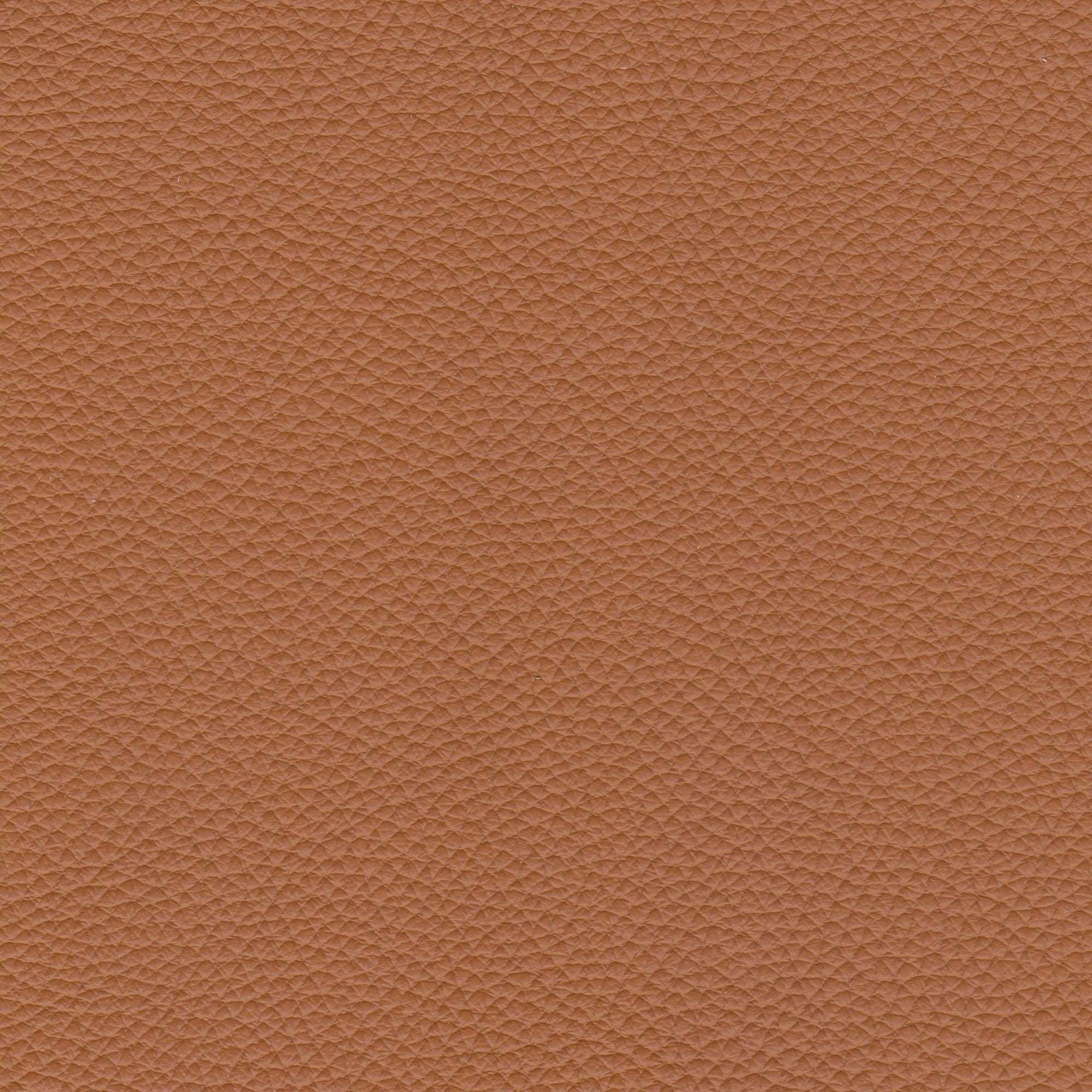 PELLE SPESSORATO Canyon 3030