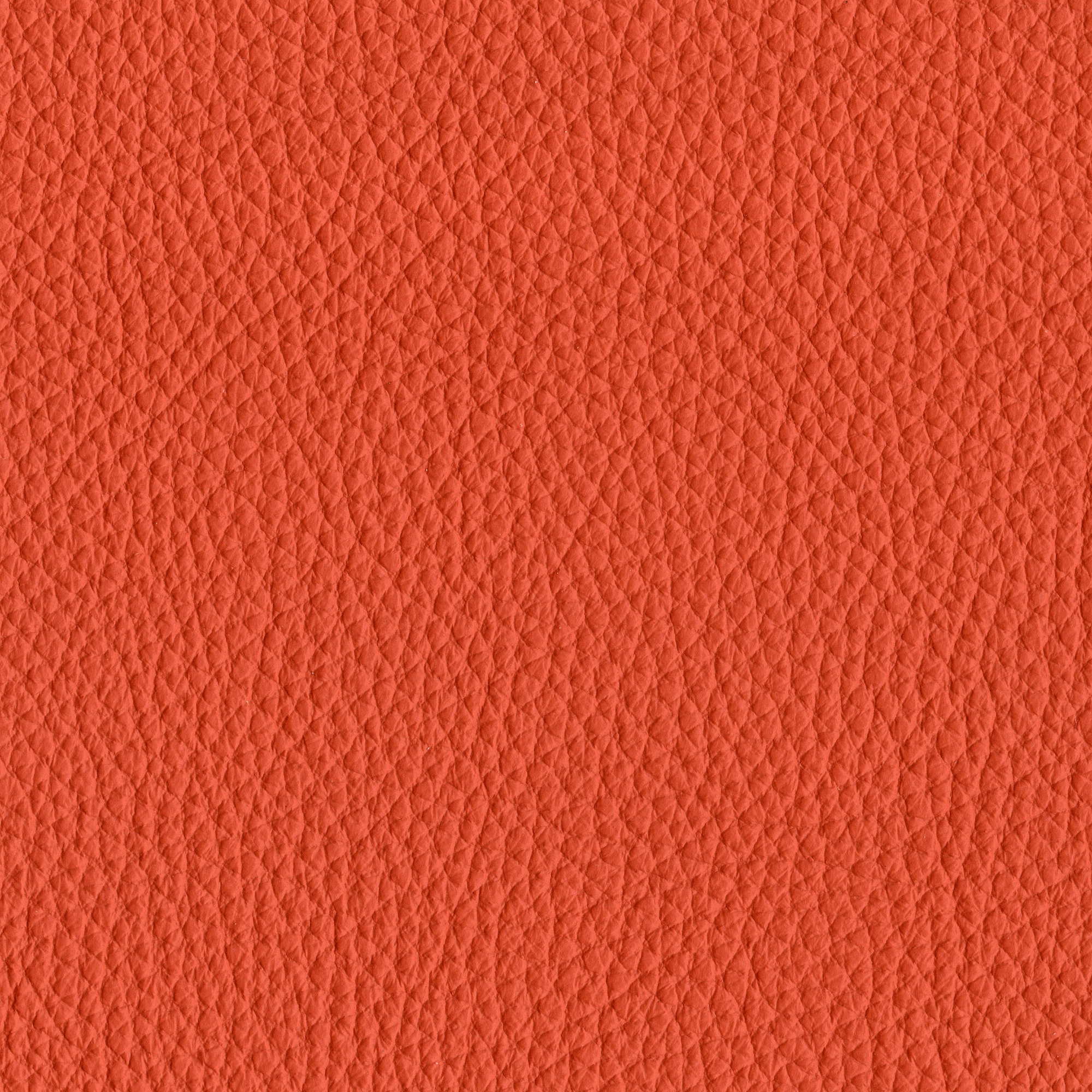 Pelle Spessorato Papaya 3031 – vera pelle martellata stampa dollaro, campione steso
