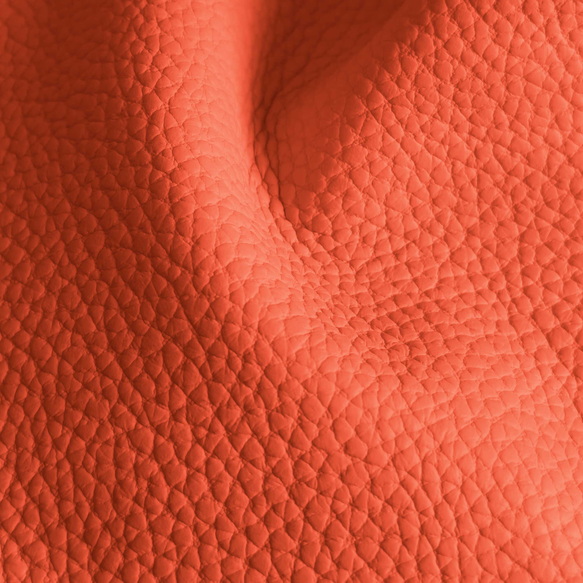 Pelle Spessorato Papaya 3031 – vera pelle martellata stampa dollaro in drappeggio