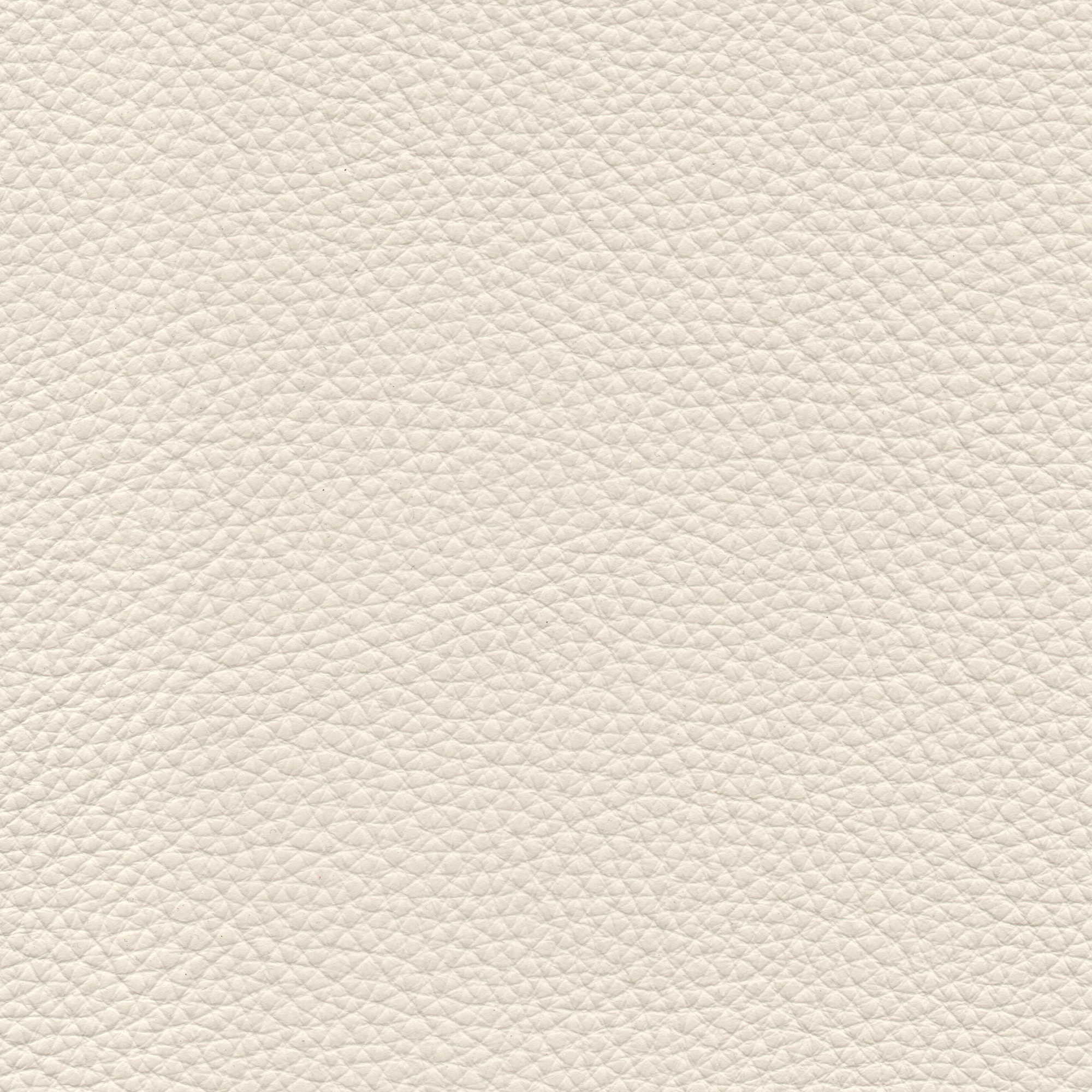 Pelle Natural Panna 4002 – vera pelle fiore morbida, campione steso