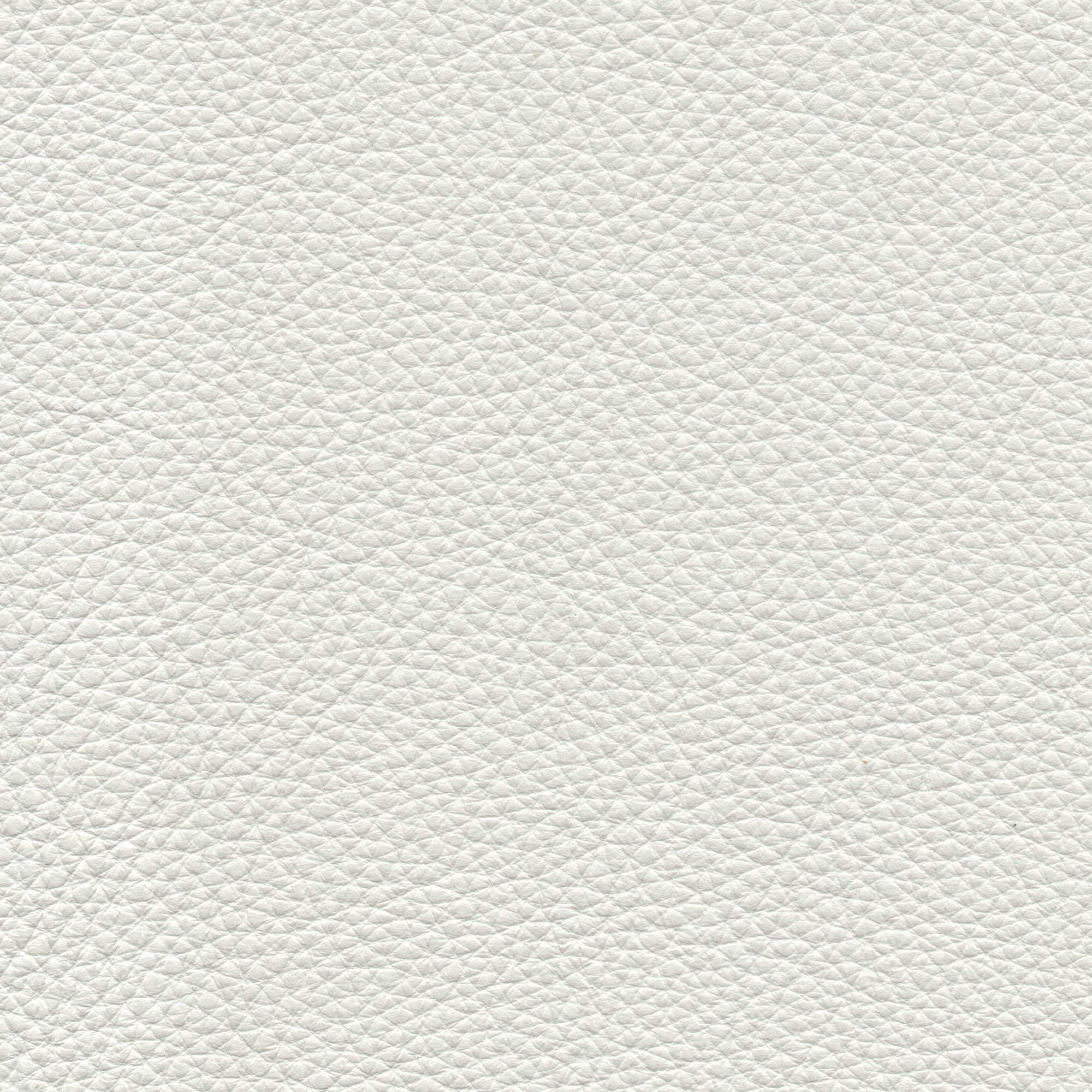 Pelle Natural Grey 4004 – vera pelle fiore morbida, campione steso