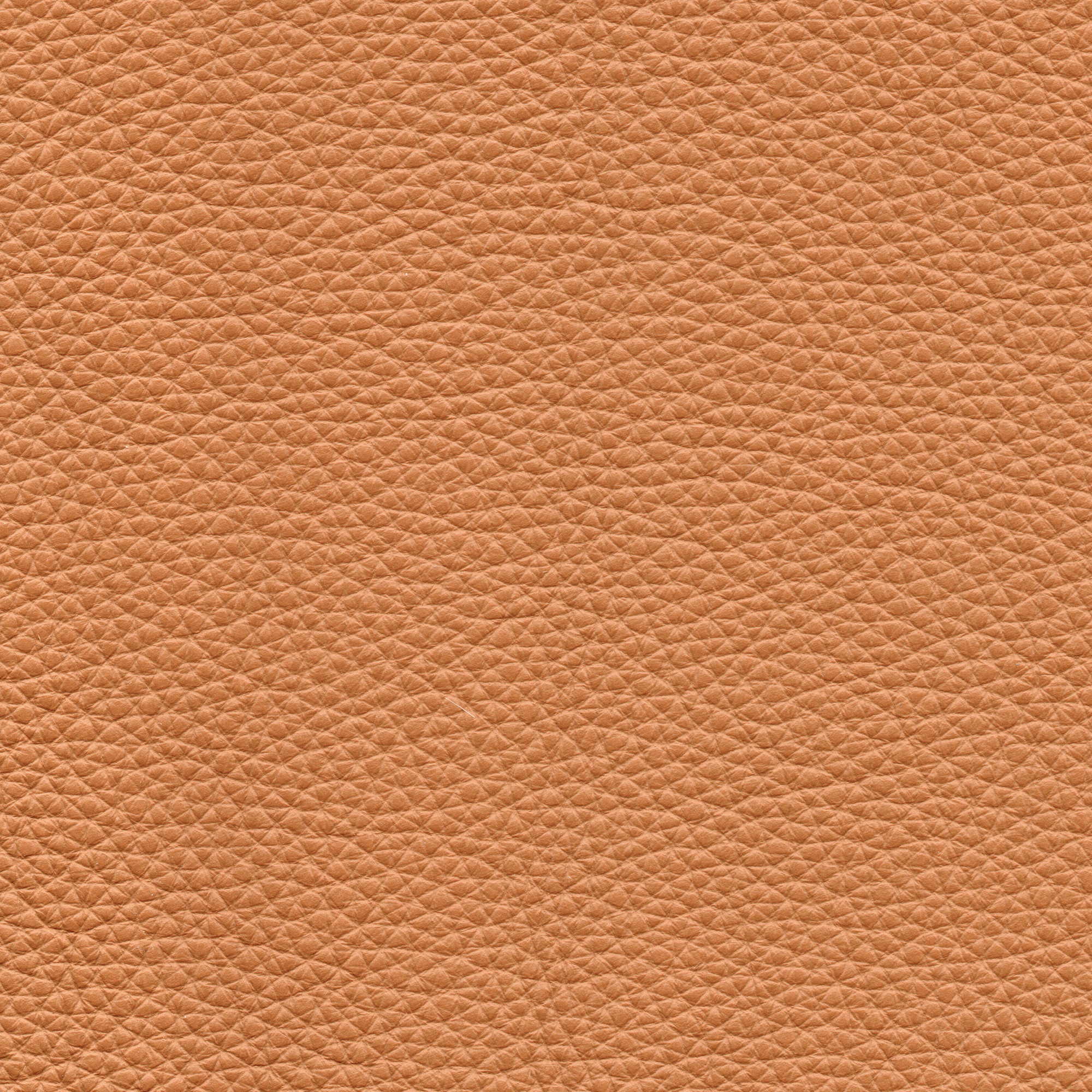 Pelle Natural Cuoio 4011 – vera pelle fiore morbida, campione steso