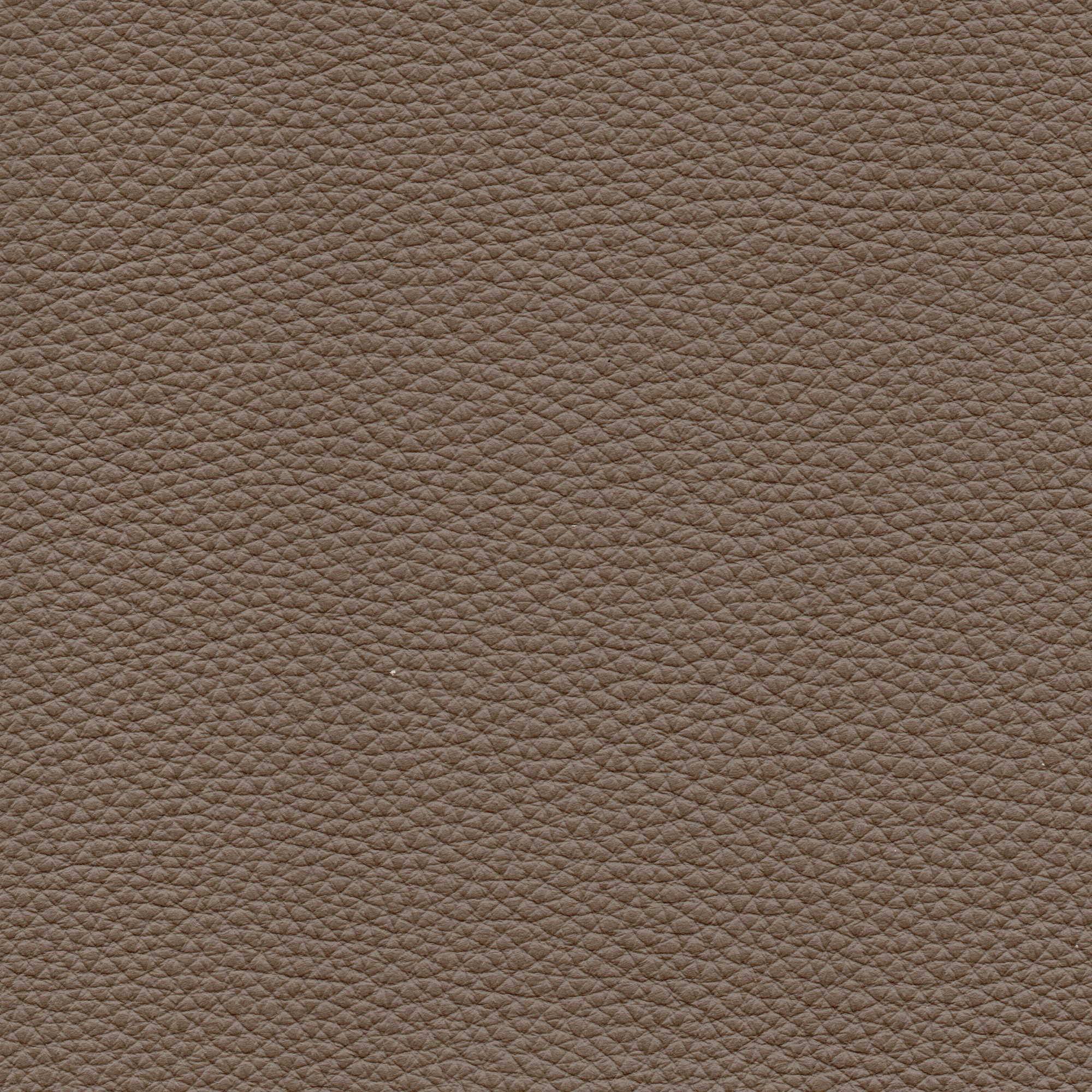 Pelle Natural Visone 4012 – vera pelle fiore morbida, campione steso