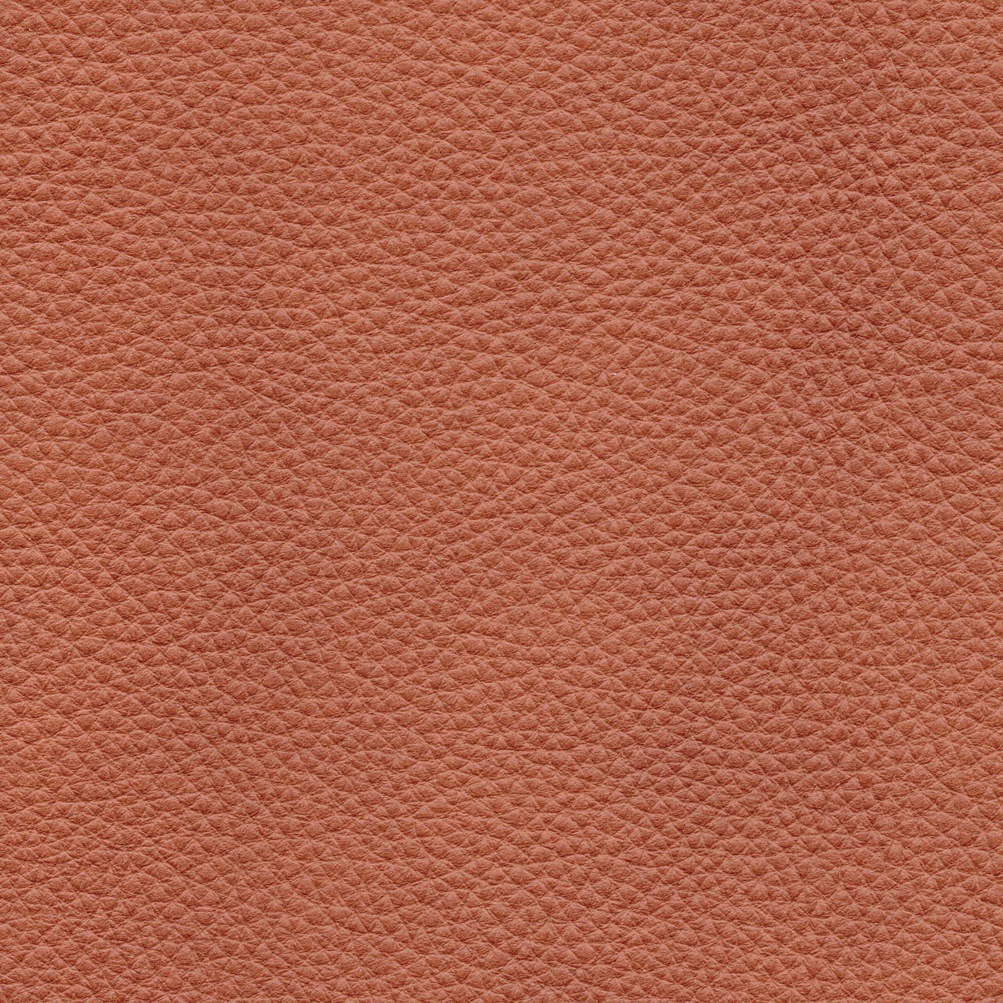 Pelle Natural Cognac nuv. 4017 – vera pelle fiore morbida, campione steso
