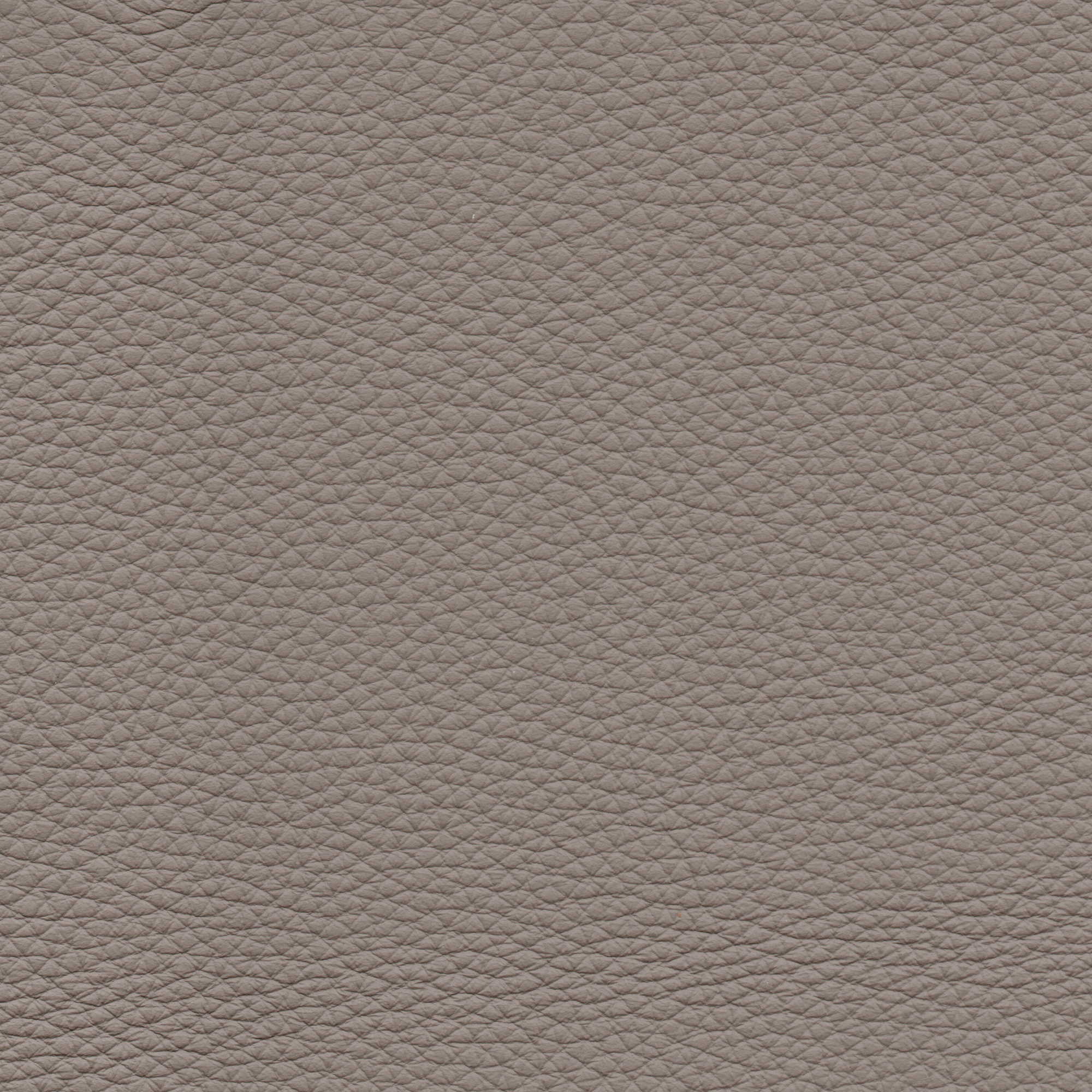 Pelle Natural Wall 4020 – vera pelle fiore morbida, campione steso