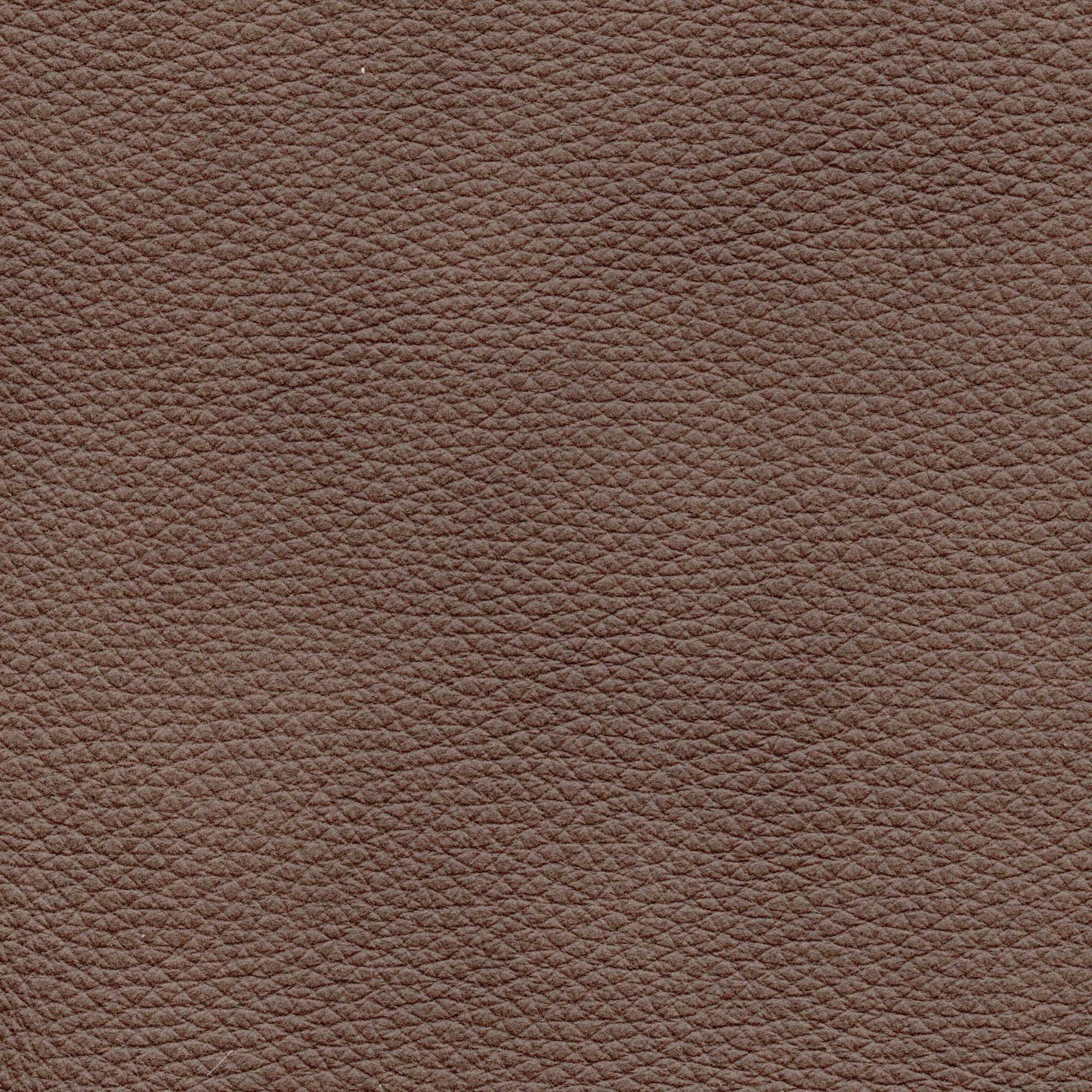 Pelle Natural Noce nuv. 4025 – vera pelle fiore morbida, campione steso