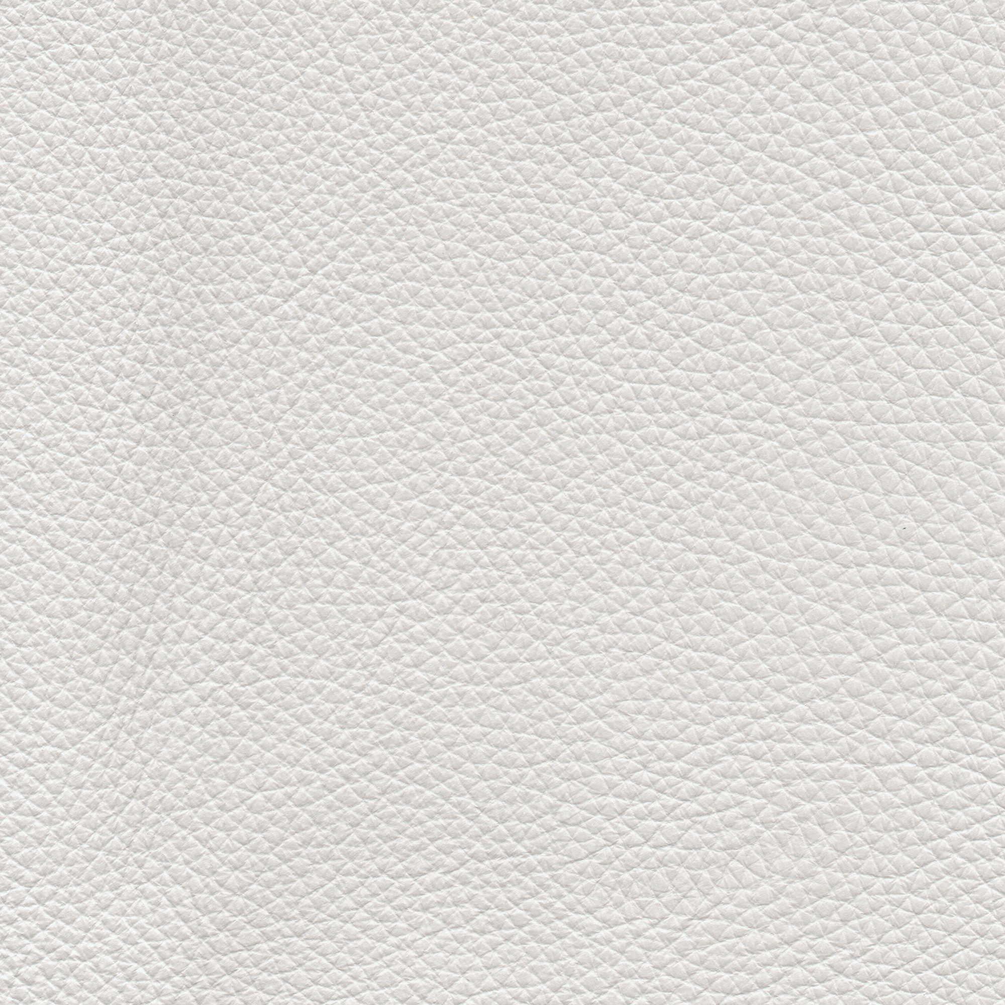 Pelle Natural Fog 4027 – vera pelle fiore morbida, campione steso
