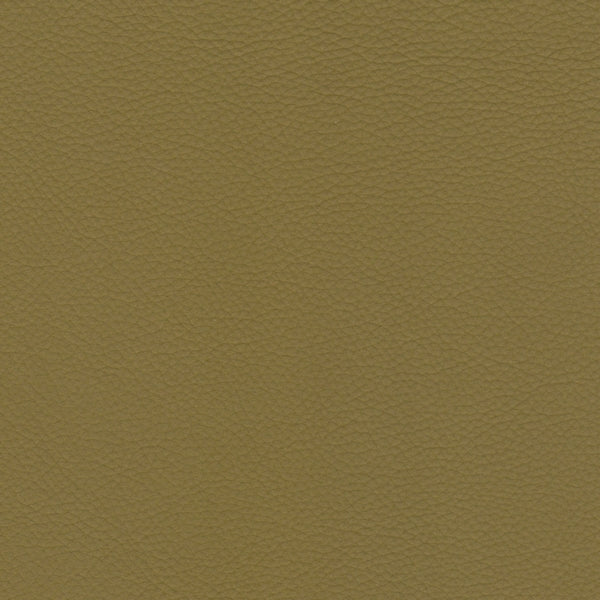 PELLE BRINA Kiwi 5208