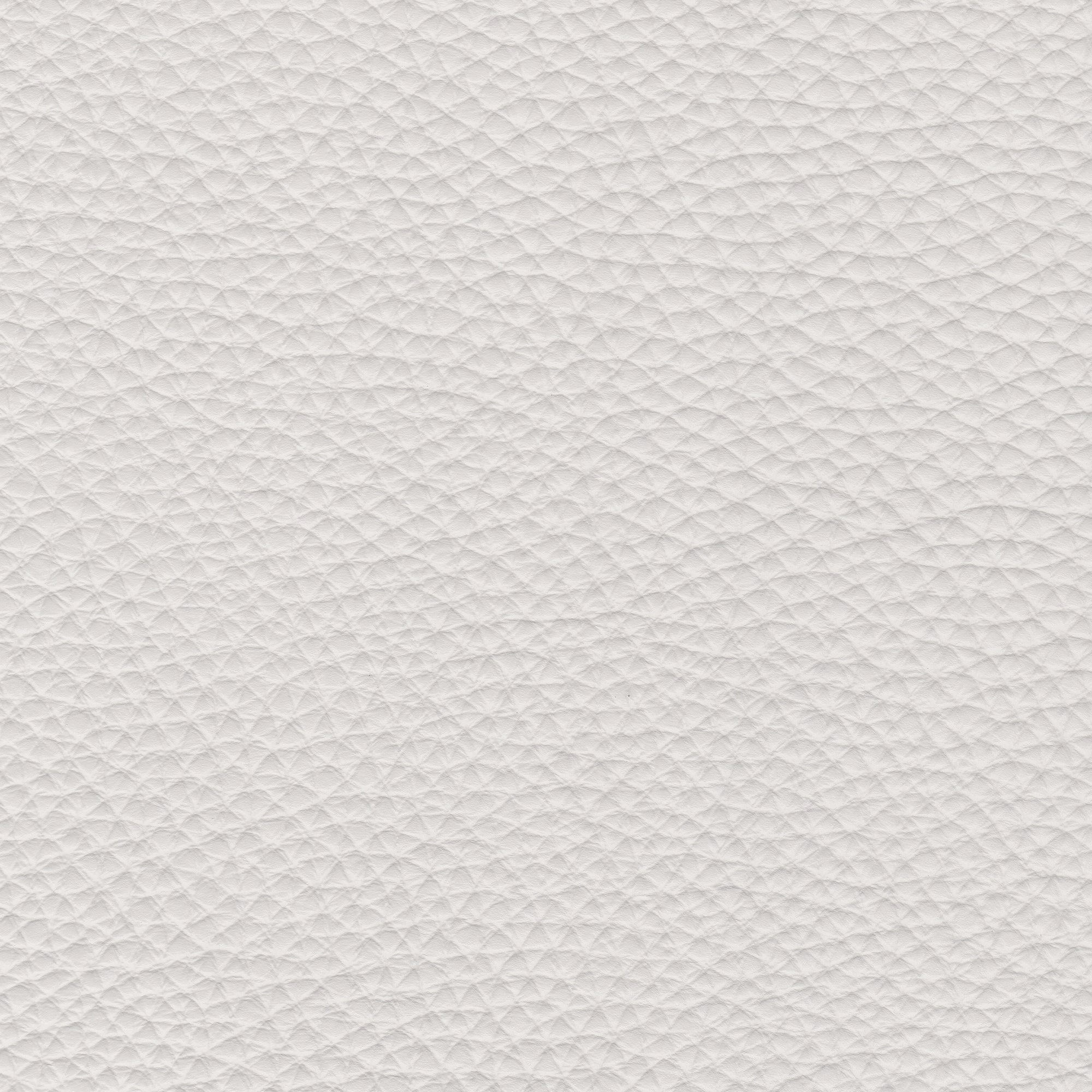 PELLE PAMPLONA Light Grey 6501