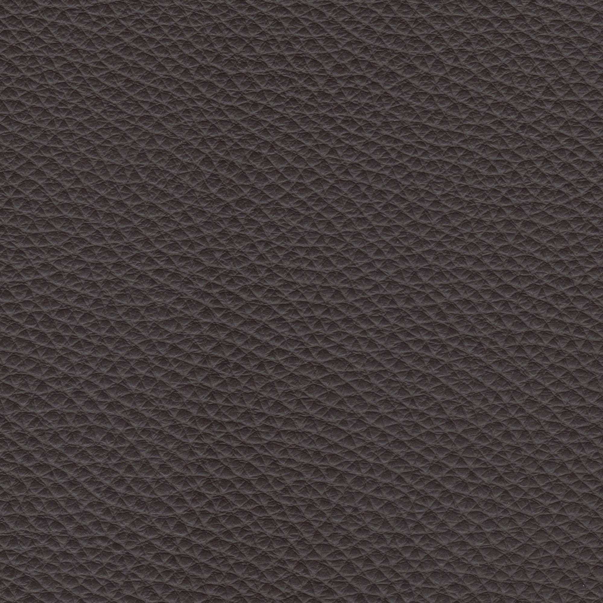 PELLE PAMPLONA Caffè 6506