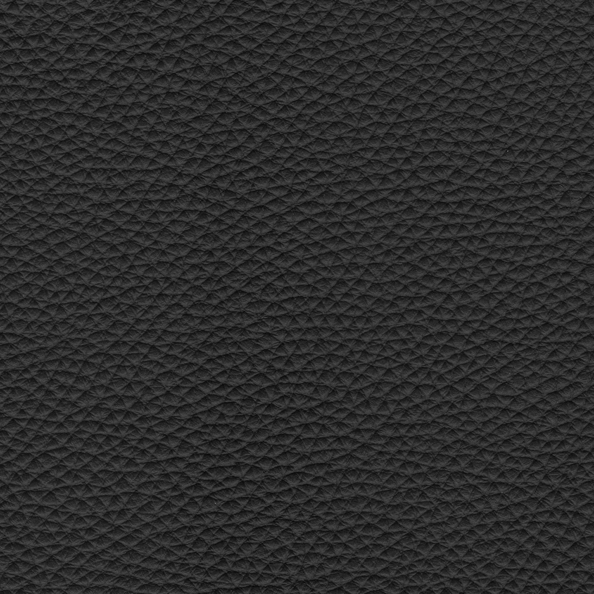 PELLE PAMPLONA Nero 6507