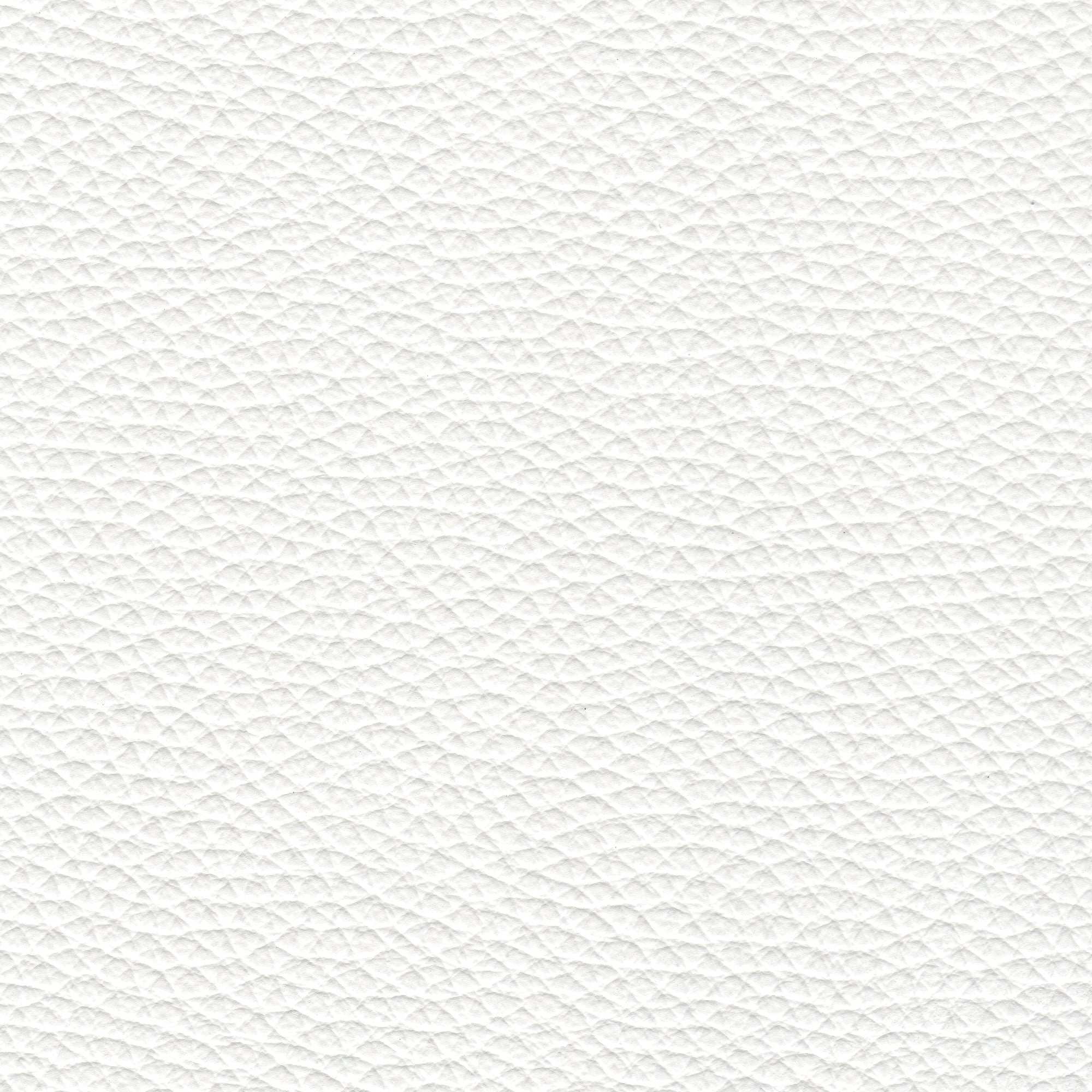 PELLE PAMPLONA Bianco 6508