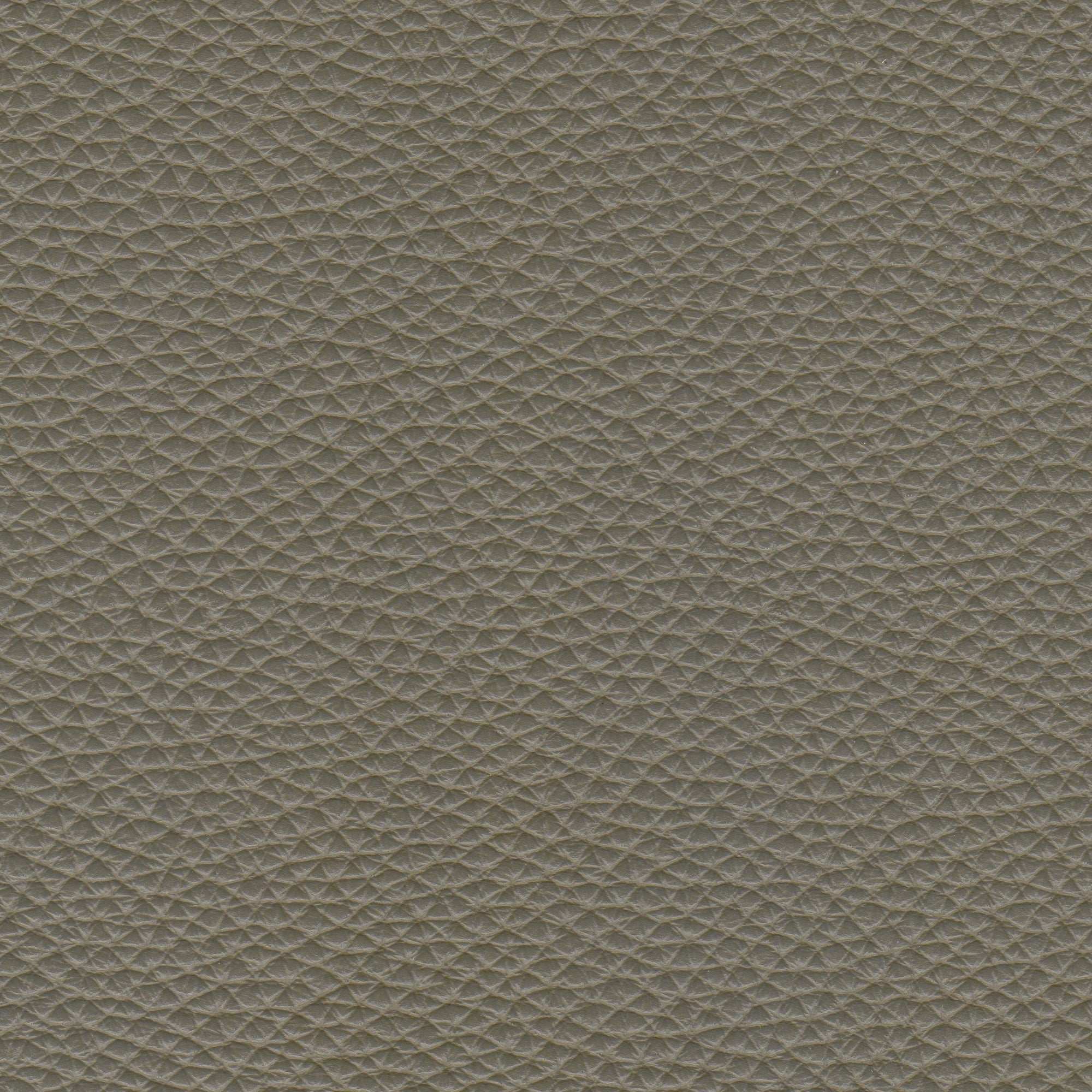 PELLE PAMPLONA Army Green 6512