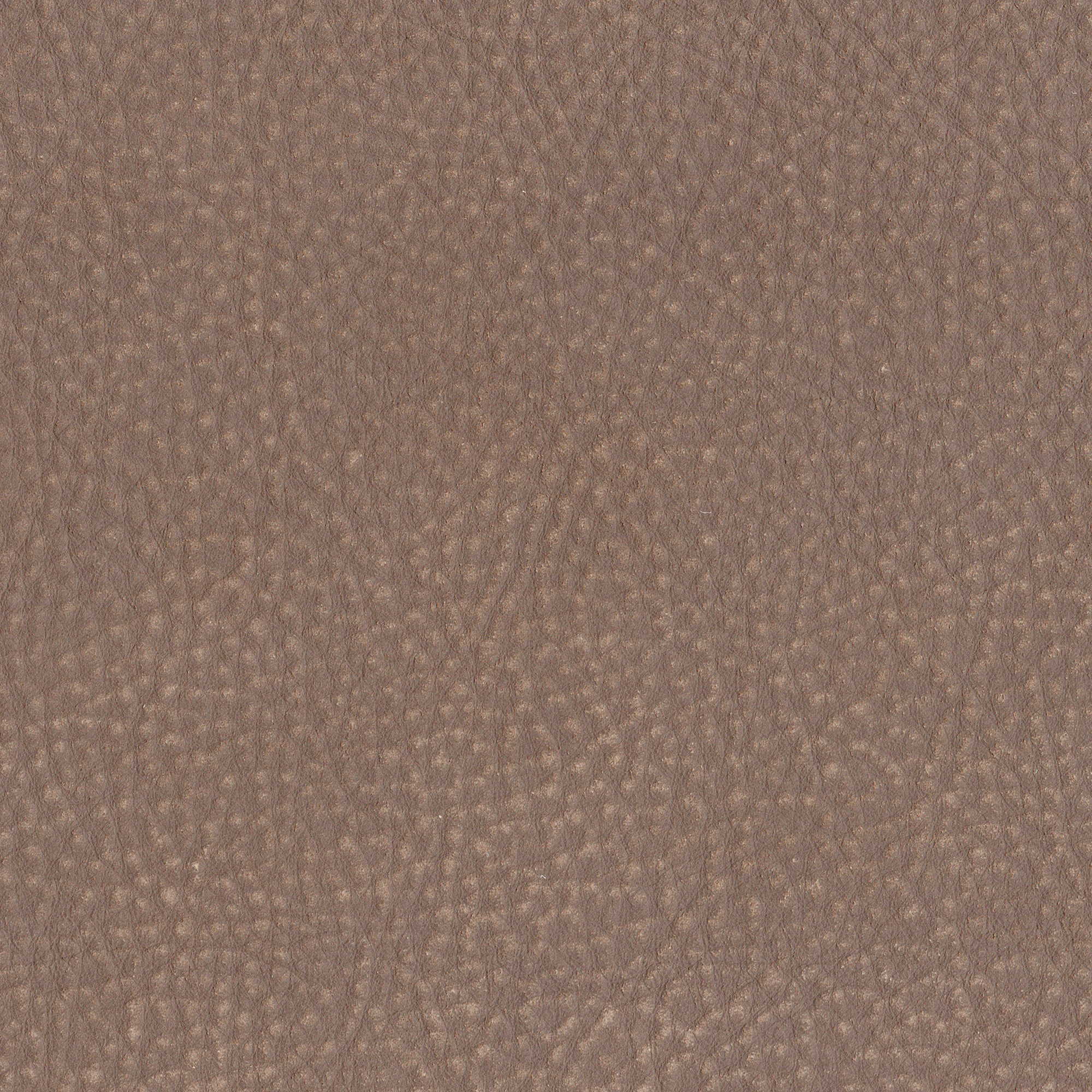 Pelle Maya Terra 7303 – vera pelle nabuk scamosciata, campione steso