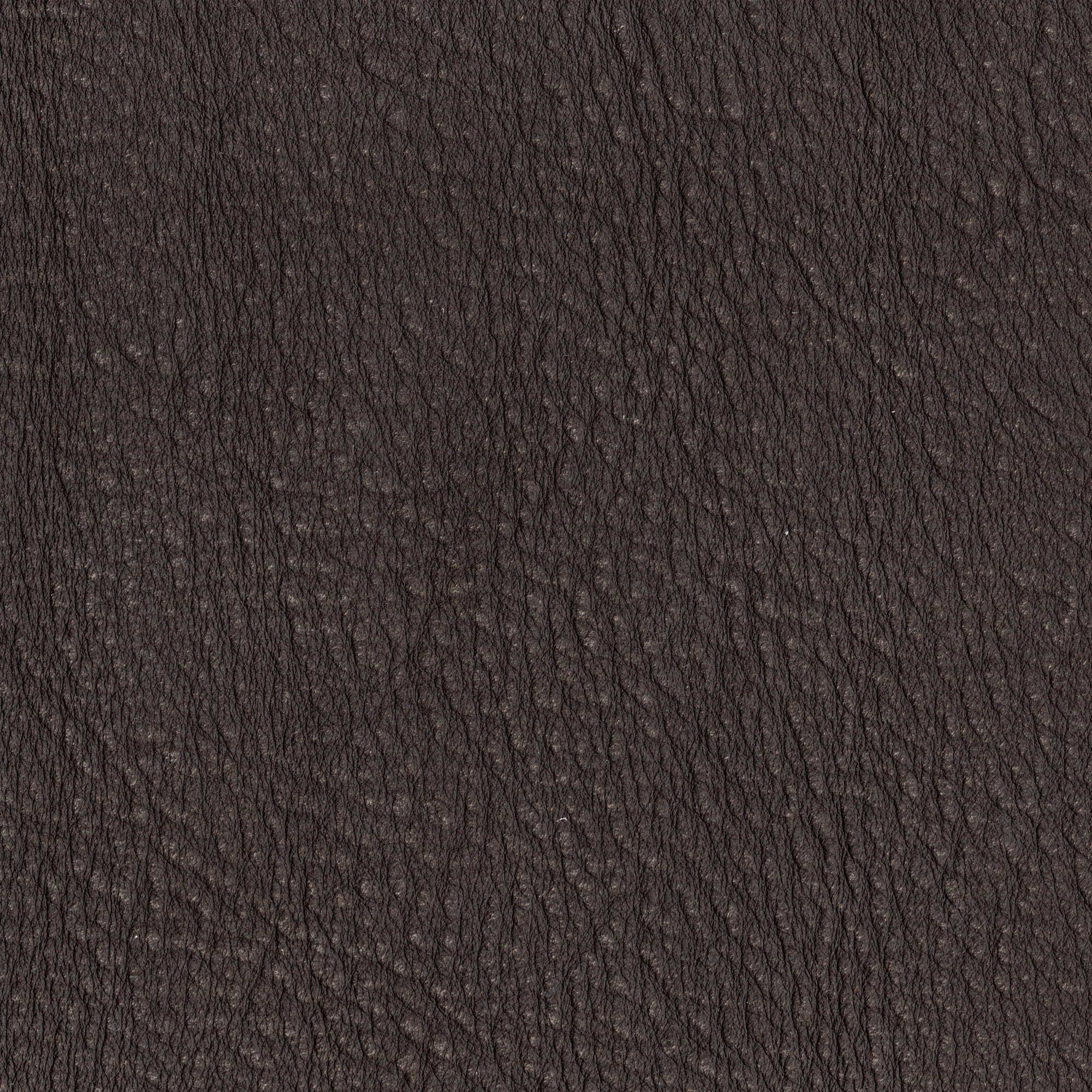 Pelle Maya Dark Brown 7305 – vera pelle nabuk scamosciata, campione steso