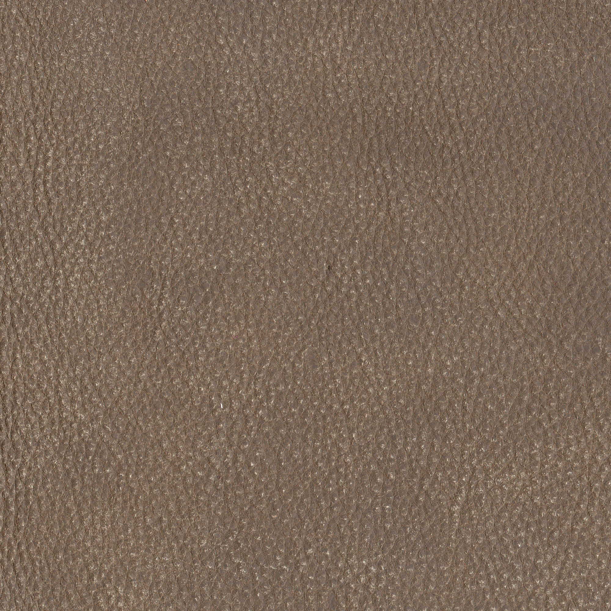 Pelle Maya Rhino 7306 – vera pelle nabuk scamosciata, campione steso