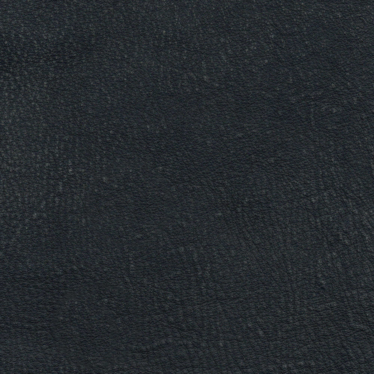 Pelle Maya Antracite 7310 – vera pelle nabuk scamosciata, campione steso