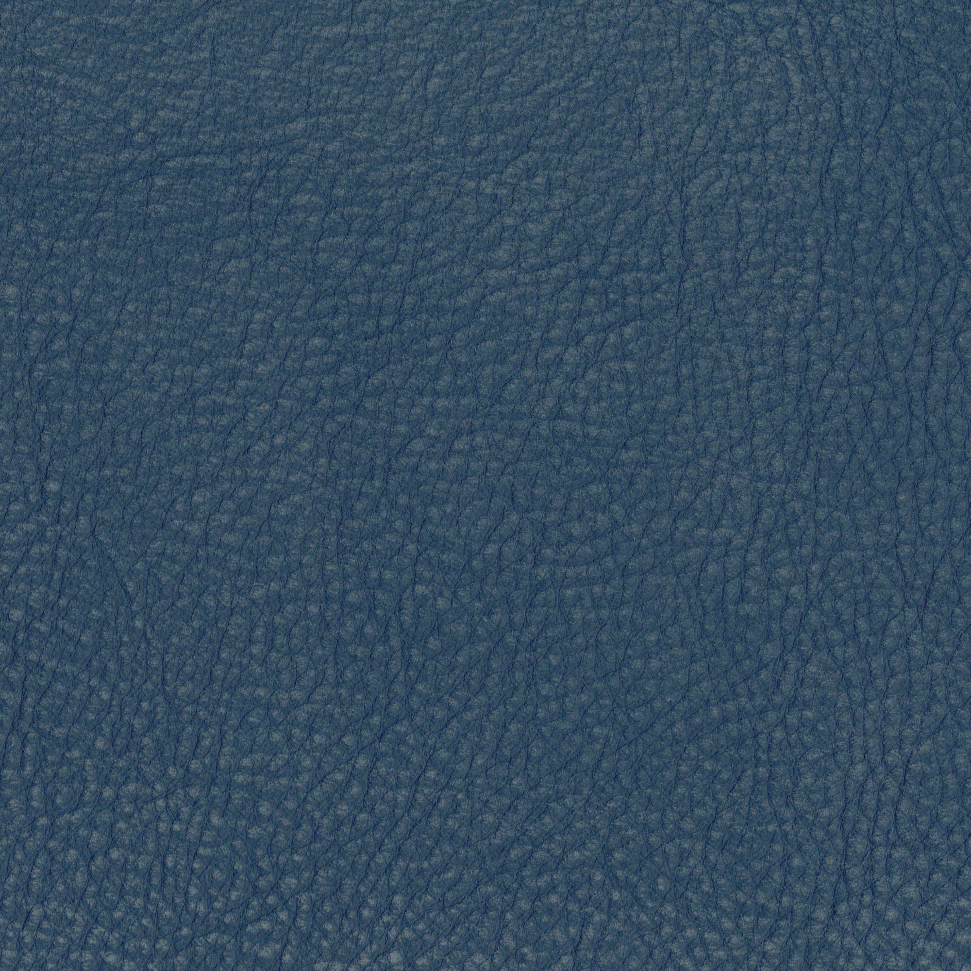 Pelle Maya Pacific 7312 – vera pelle nabuk scamosciata, campione steso
