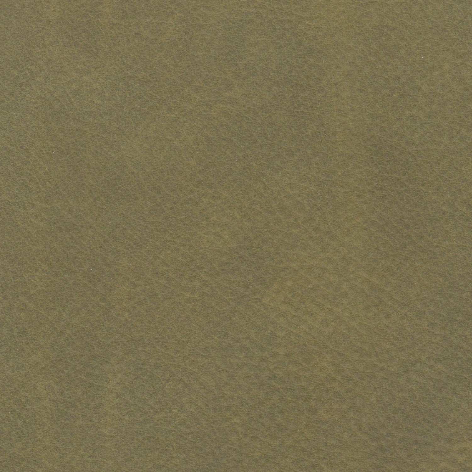 PELLE MAYA Muschio 7319