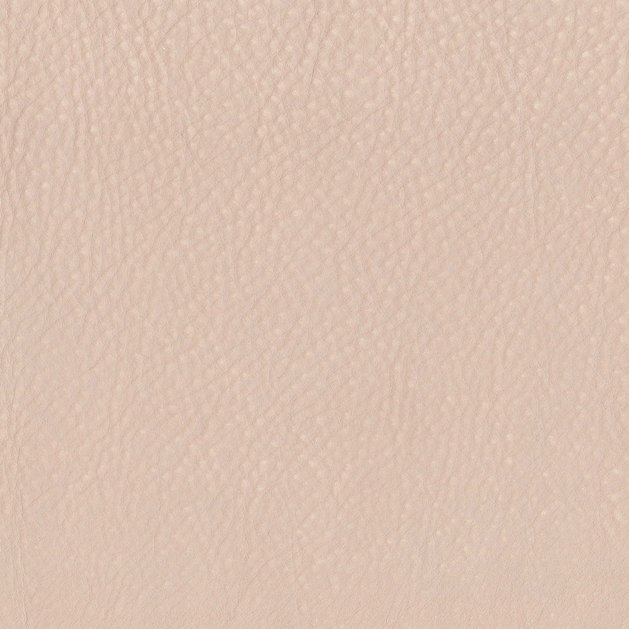 Pelle Maya Dune 7321 – vera pelle nabuk scamosciata, campione steso