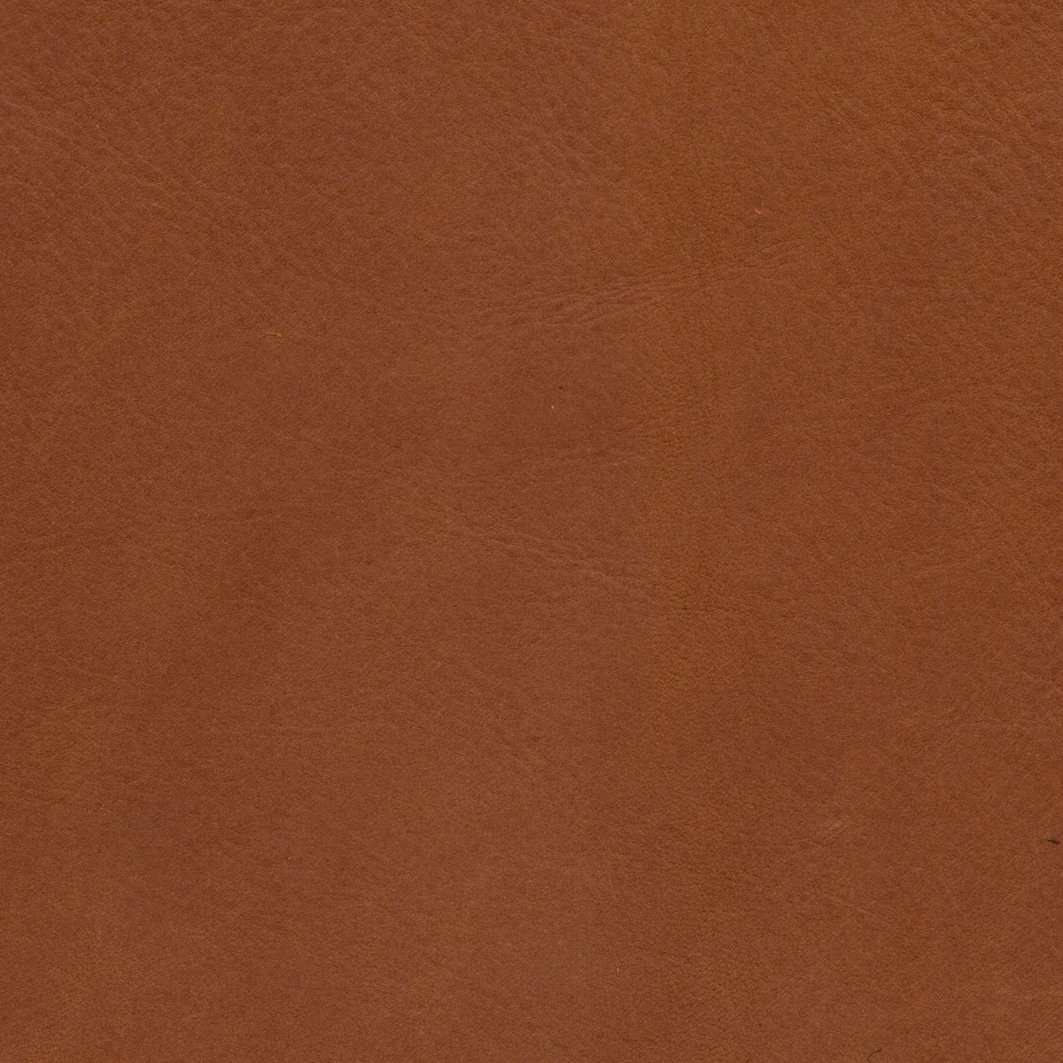 Pelle Pull-Up Cognac 9603 – vera pelle cerata con effetto schiarente, campione steso