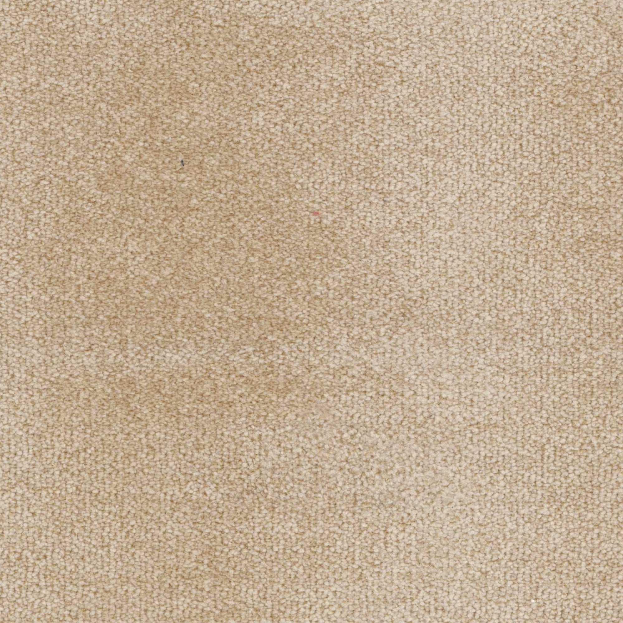 TESSUTO CAMPBELL Sand ca04