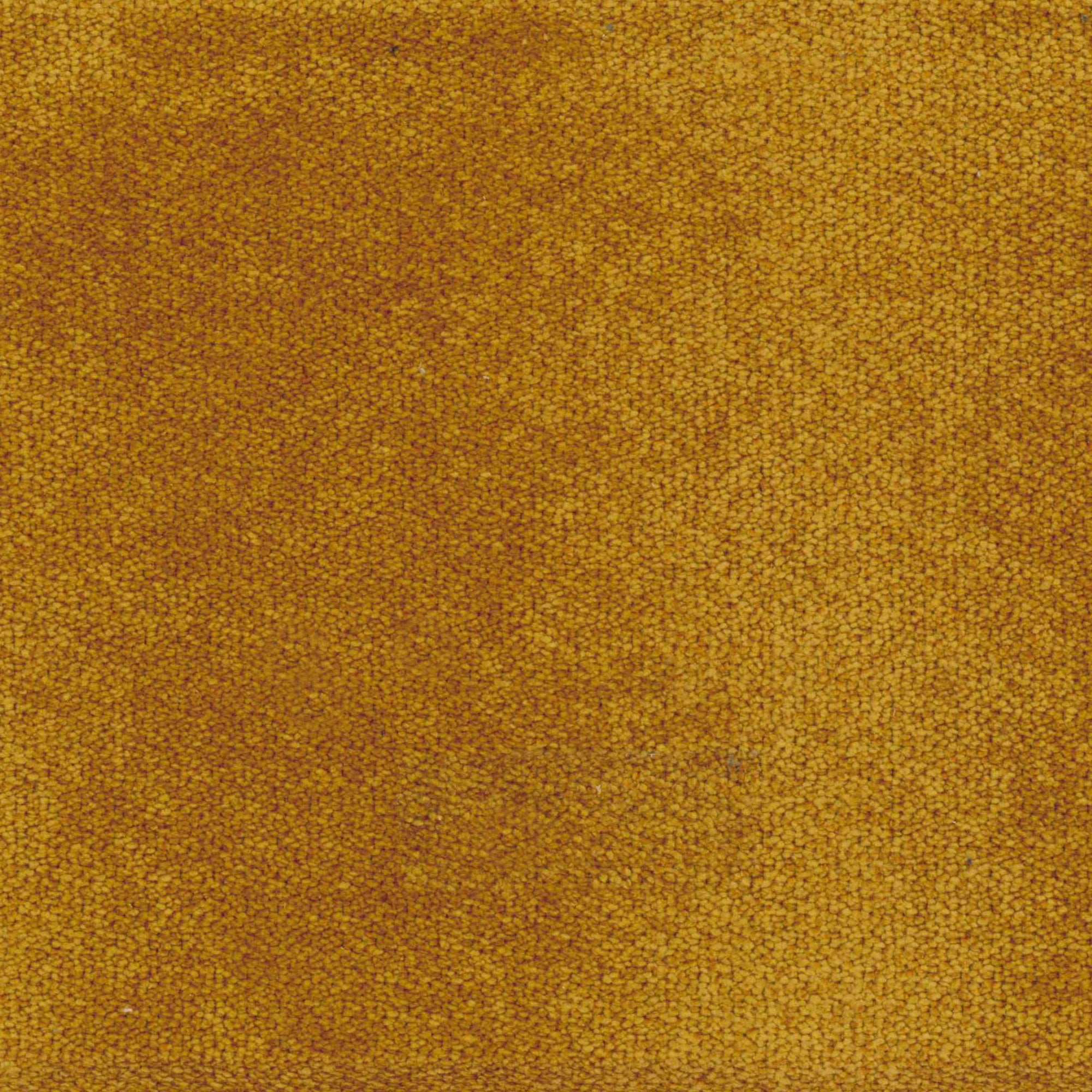 TESSUTO CAMPBELL Mustard ca520