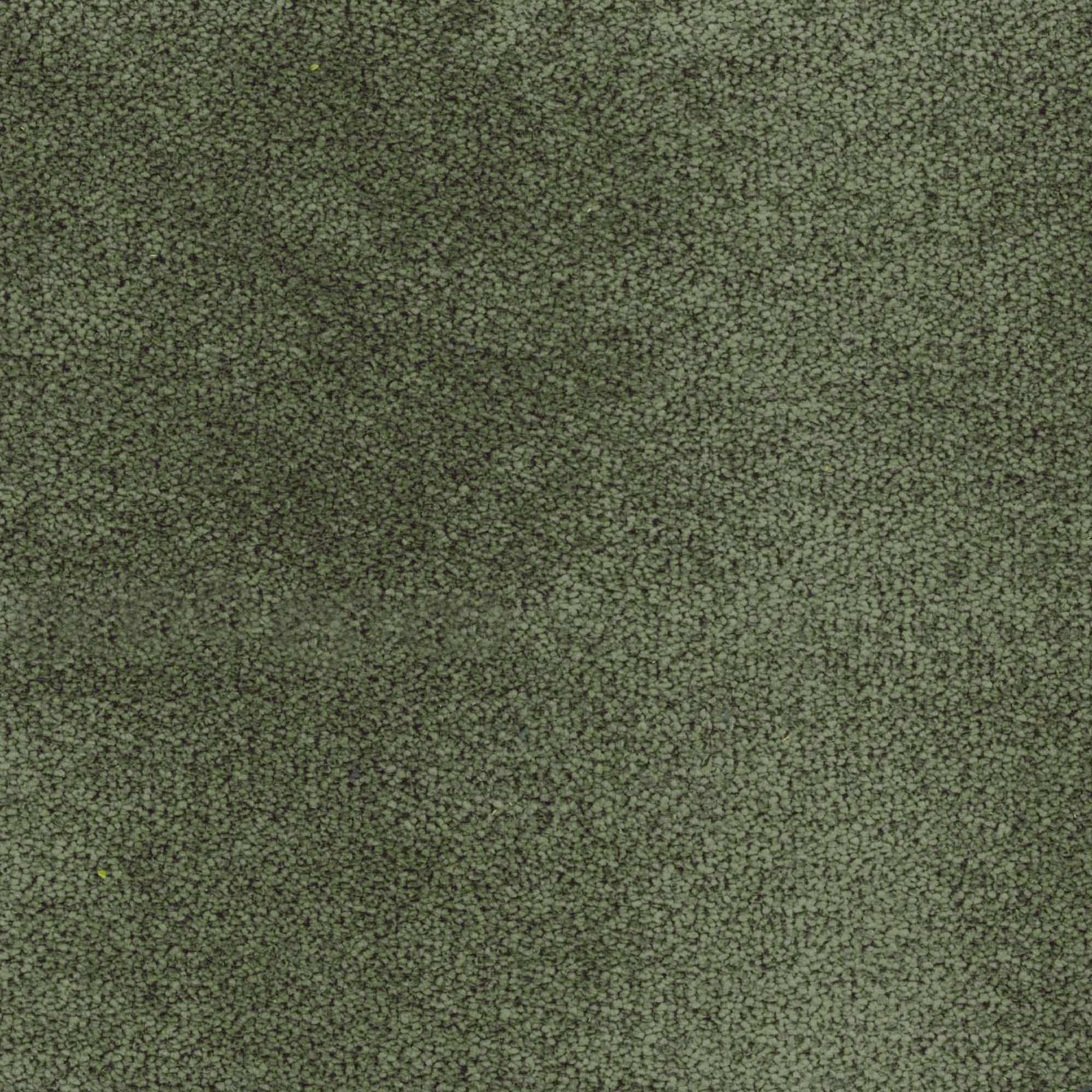 TESSUTO CAMPBELL Olive ca751