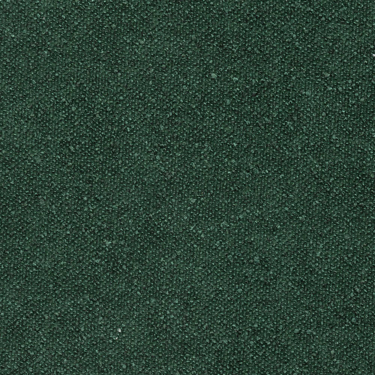Tessuto Amy Forest am753 – micro bouclé vellutato, colore verde bosco