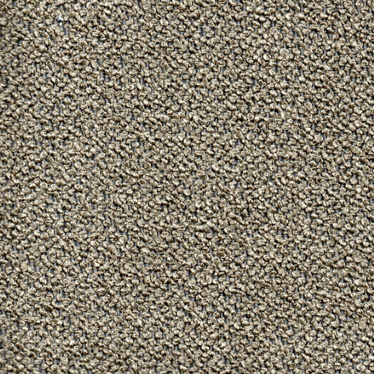 Tessuto Bardot Papyrus ba07 – tessuto bouclé, colore tortora