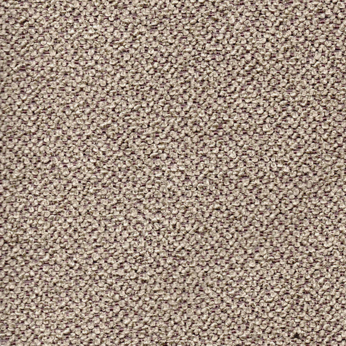Tessuto Bardot Beige ba170 – tessuto bouclé, colore beige