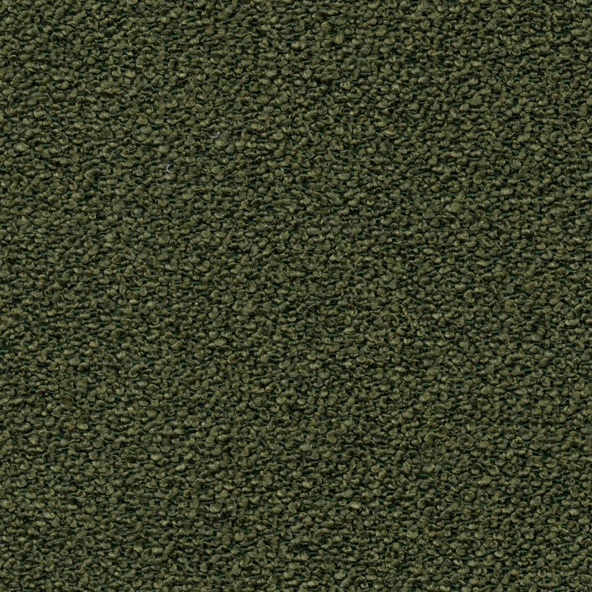 Tessuto Bardot Gras ba27 – tessuto bouclé, colore verde
